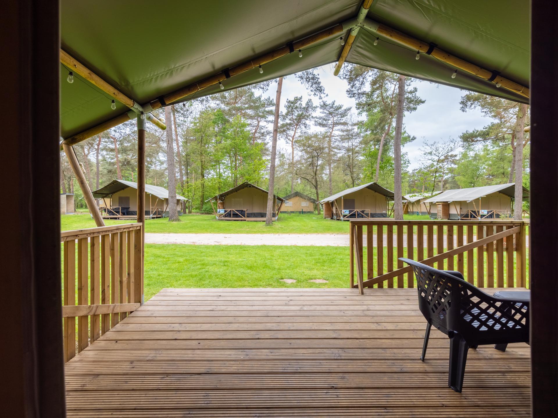 Luxe glamping-tent met privé-sanitair op bosrijke familiecamping in Vessem - foto 17