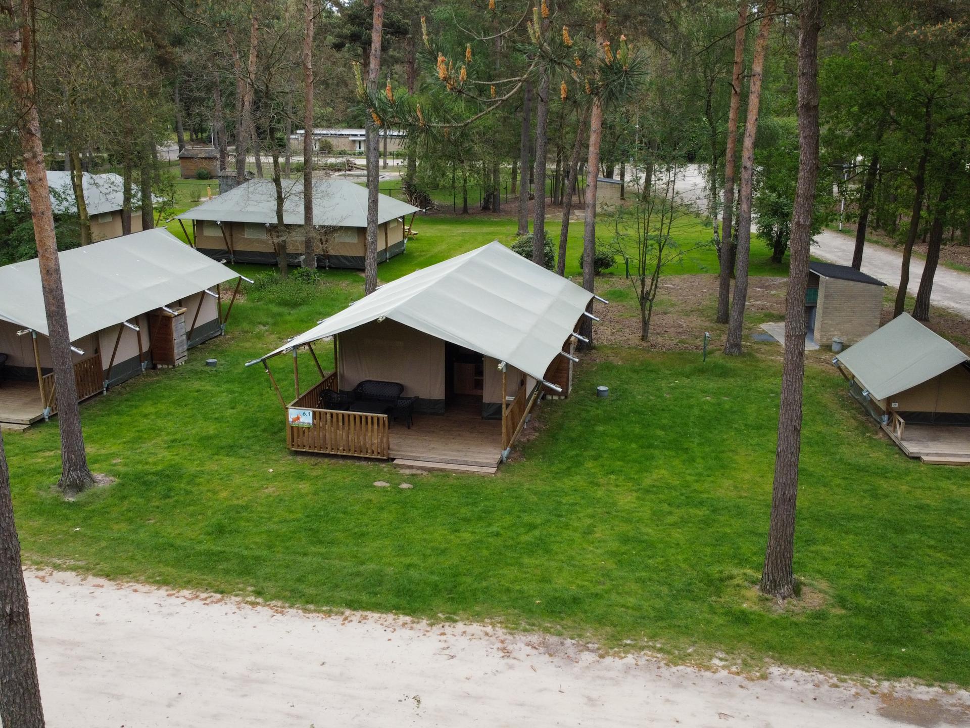 Luxe glamping-tent met privé-sanitair op bosrijke familiecamping in Vessem - foto 19