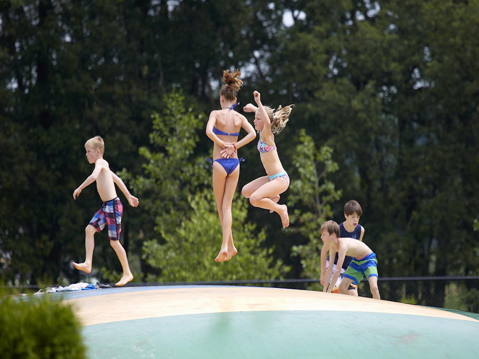 Luxe glamping-tent met privé-sanitair op bosrijke familiecamping in Vessem - foto 24