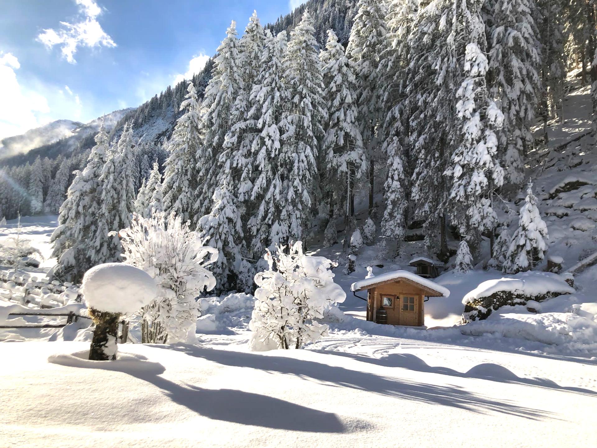 Alpenhaus Lacknerbrunn: Groepsverblijf voor 35 personen bij Mayrhofen - foto 32