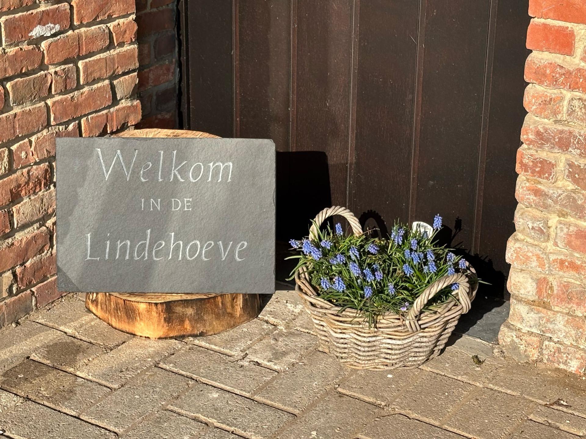 Gerenoveerde Kempische hoeve met privé binnenzwembad voor 20 personen - foto 79