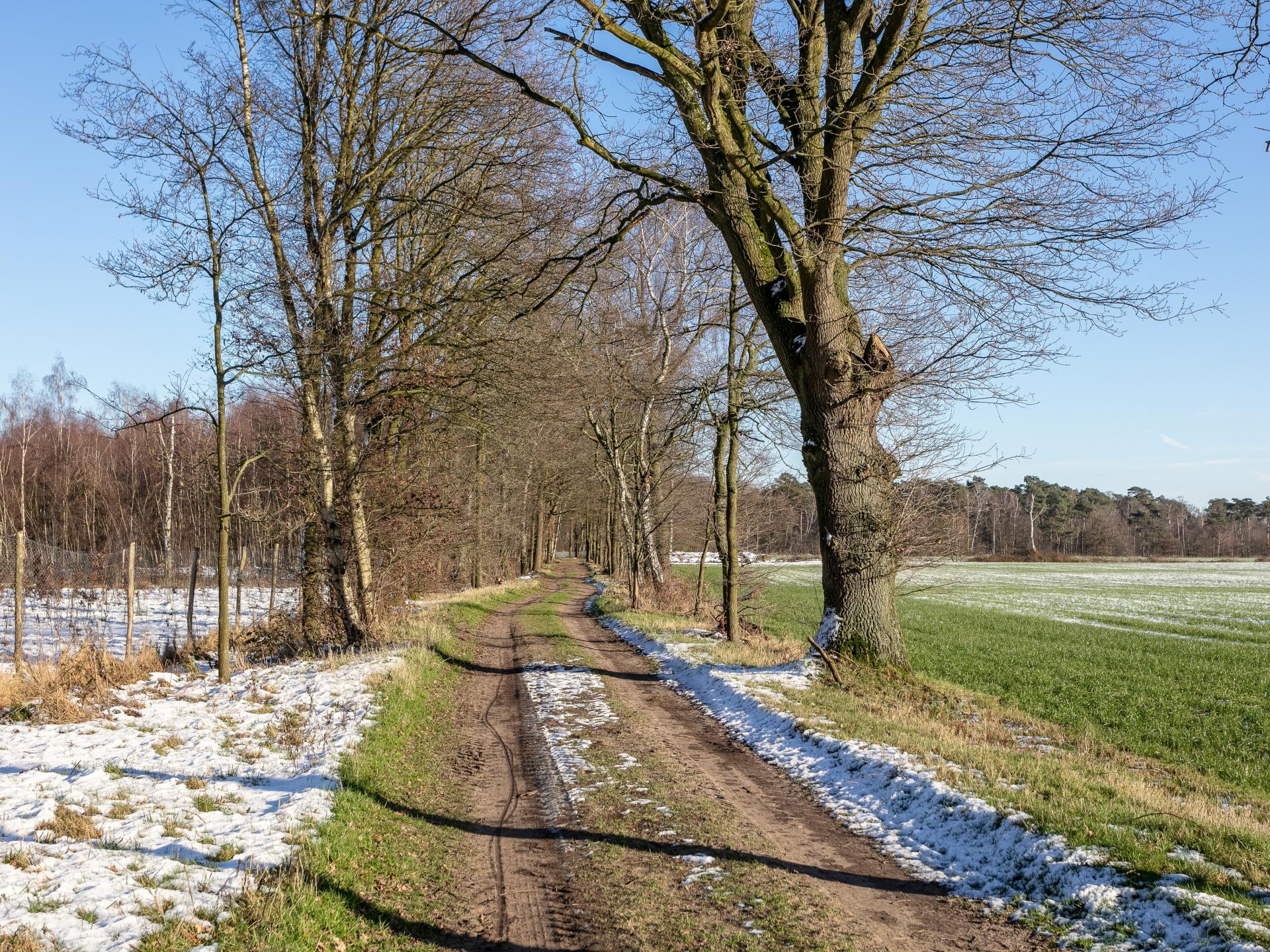 Gerenoveerde Kempische hoeve met privé binnenzwembad voor 20 personen - foto 75
