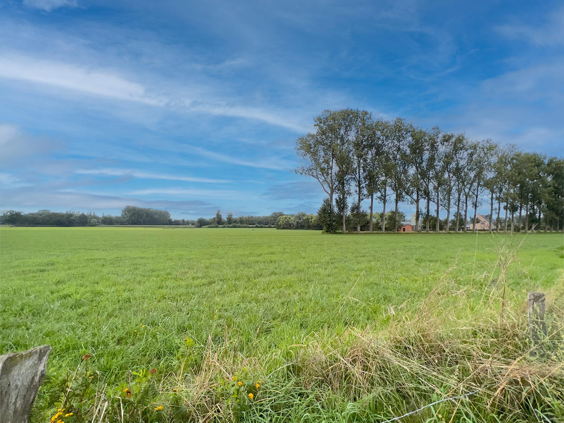 Gerenoveerde Kempische hoeve met privé binnenzwembad voor 20 personen - foto 39