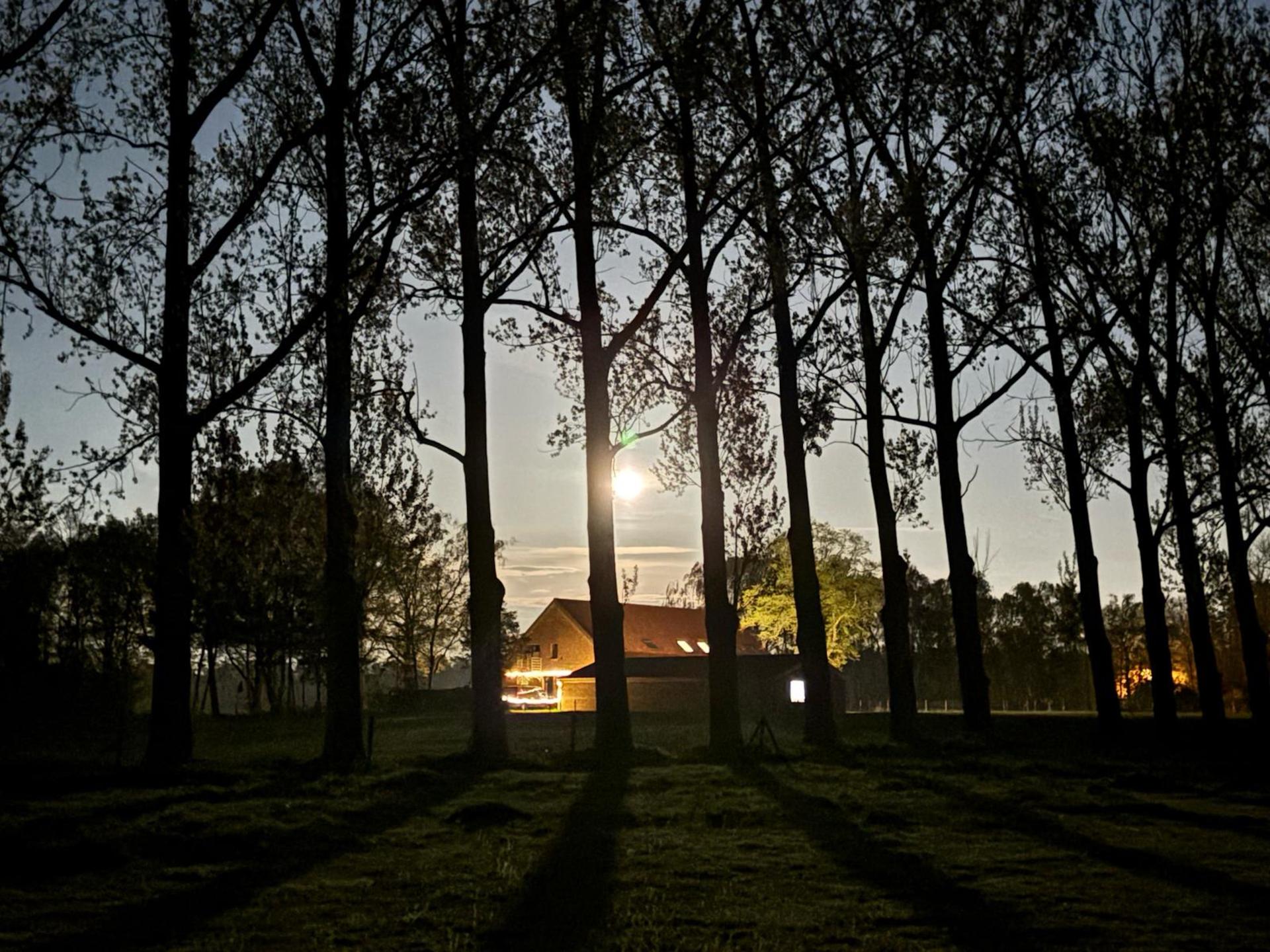 Gerenoveerde Kempische hoeve met privé binnenzwembad voor 20 personen - foto 25