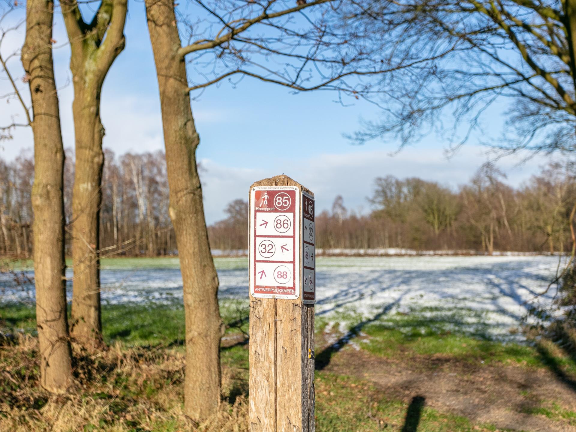 Gerenoveerde Kempische hoeve met privé binnenzwembad voor 20 personen - foto 74