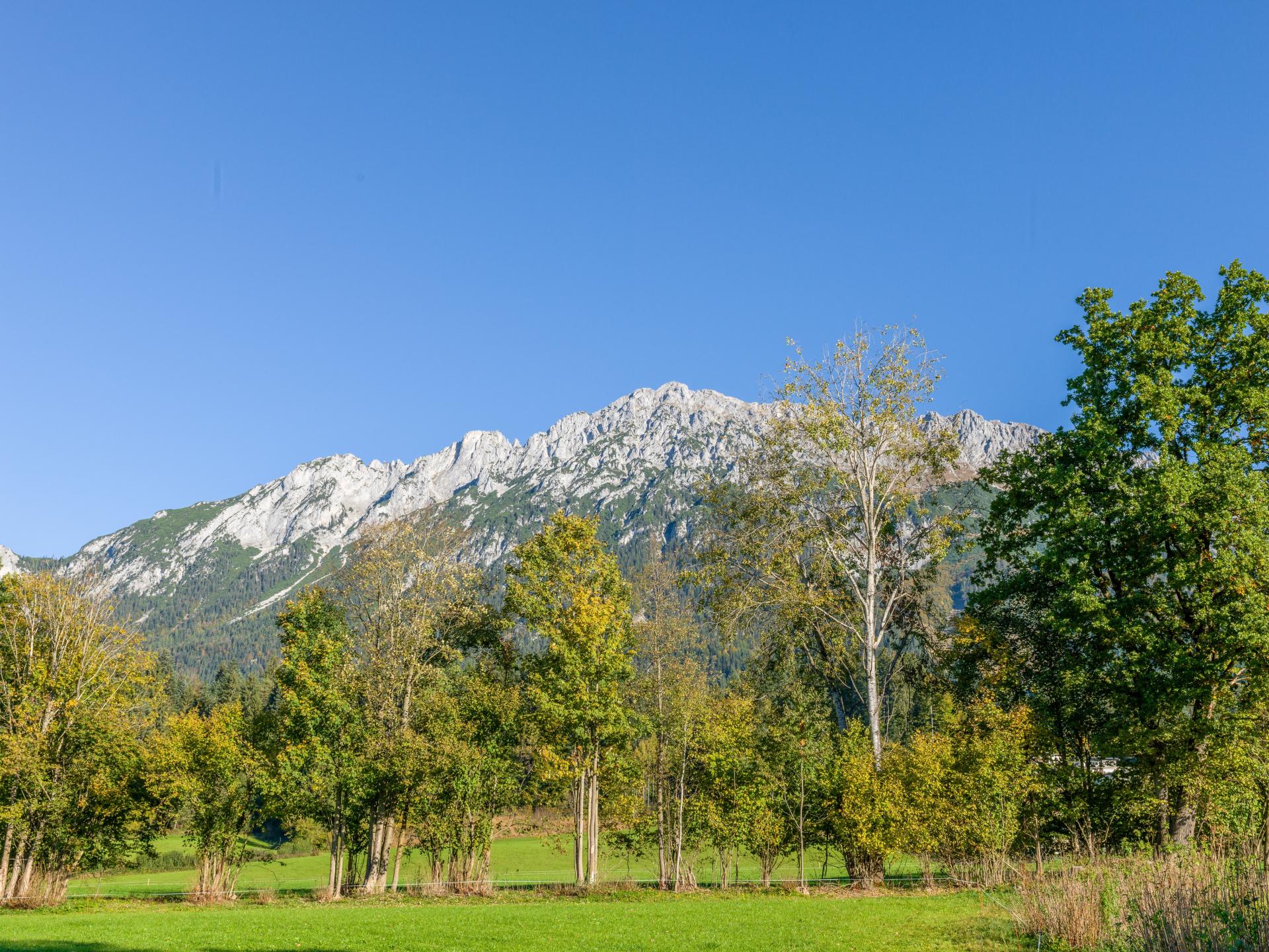 Rustiek Tirools pension voor 26 gasten, 300m van de skilift in Scheffau - foto 38