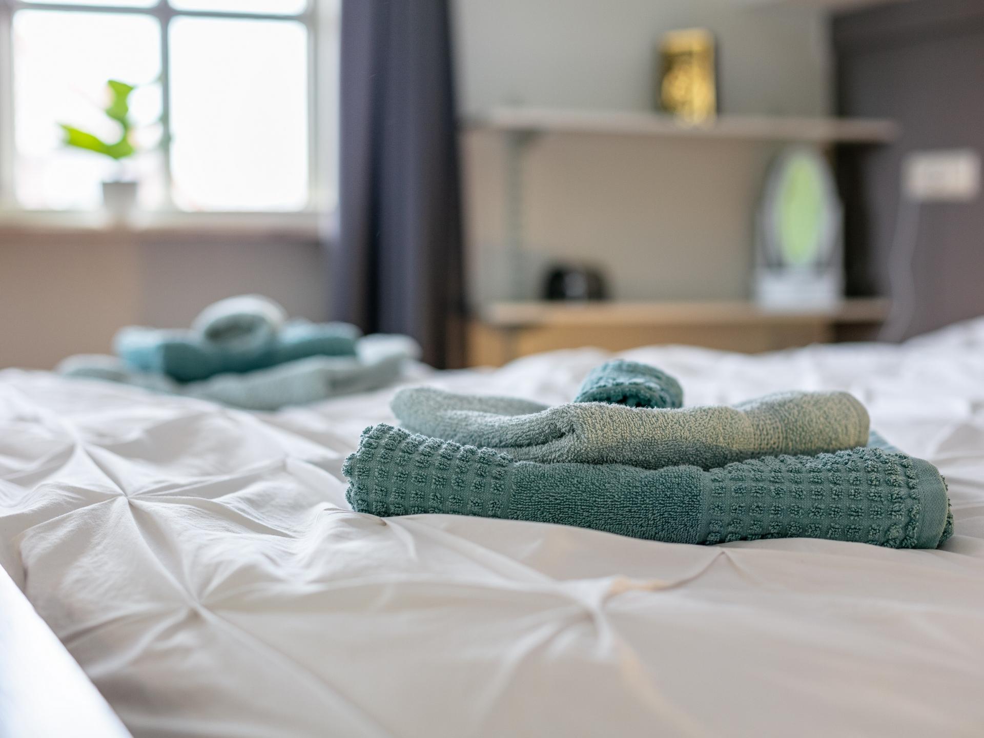 Luxe villa met zwembad, whirlpool en uitzicht op molen in Moergestel - foto 10
