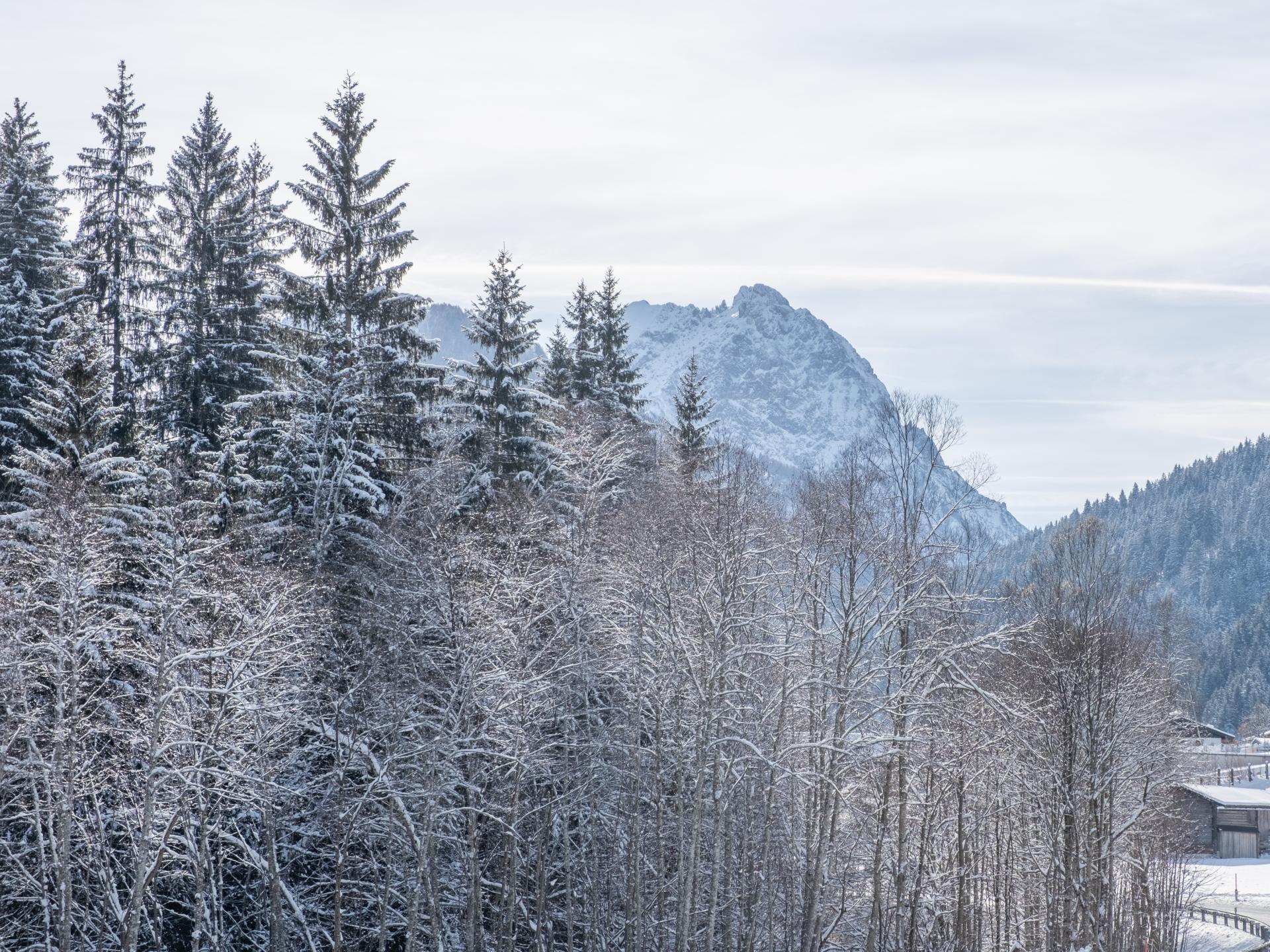 5-persoons modern appartement aan de piste in Kirchberg in Tirol - foto 39