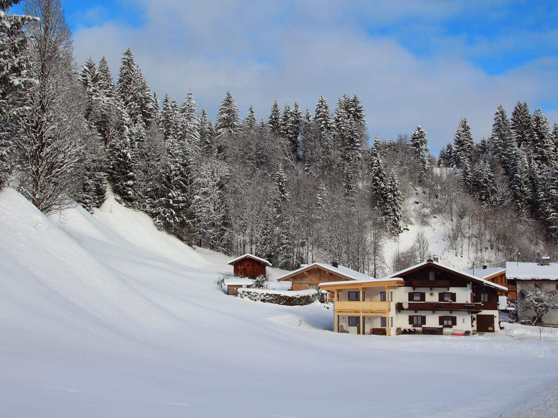 5-persoons modern appartement aan de piste in Kirchberg in Tirol - foto 27