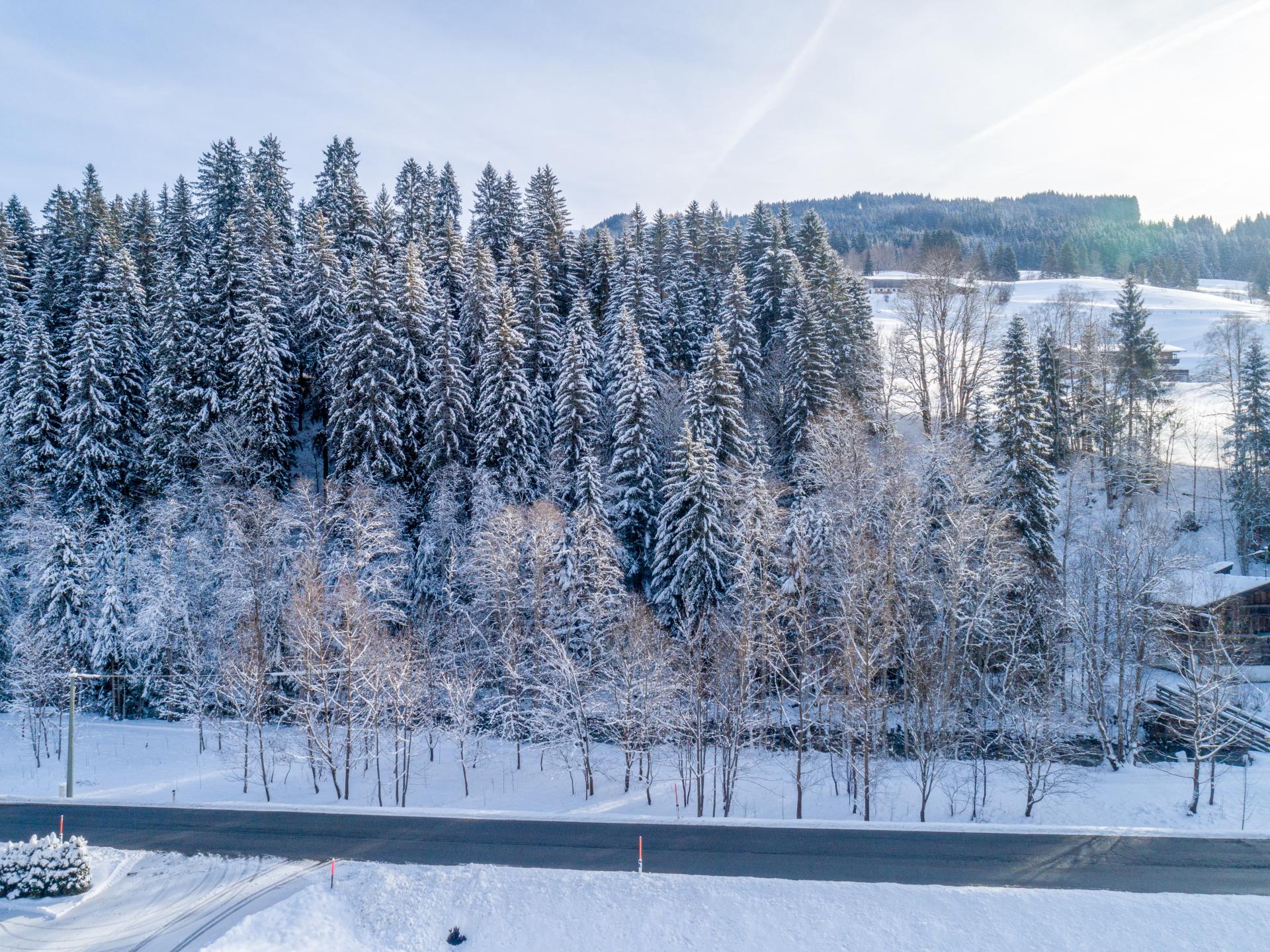 5-persoons modern appartement aan de piste in Kirchberg in Tirol - foto 33