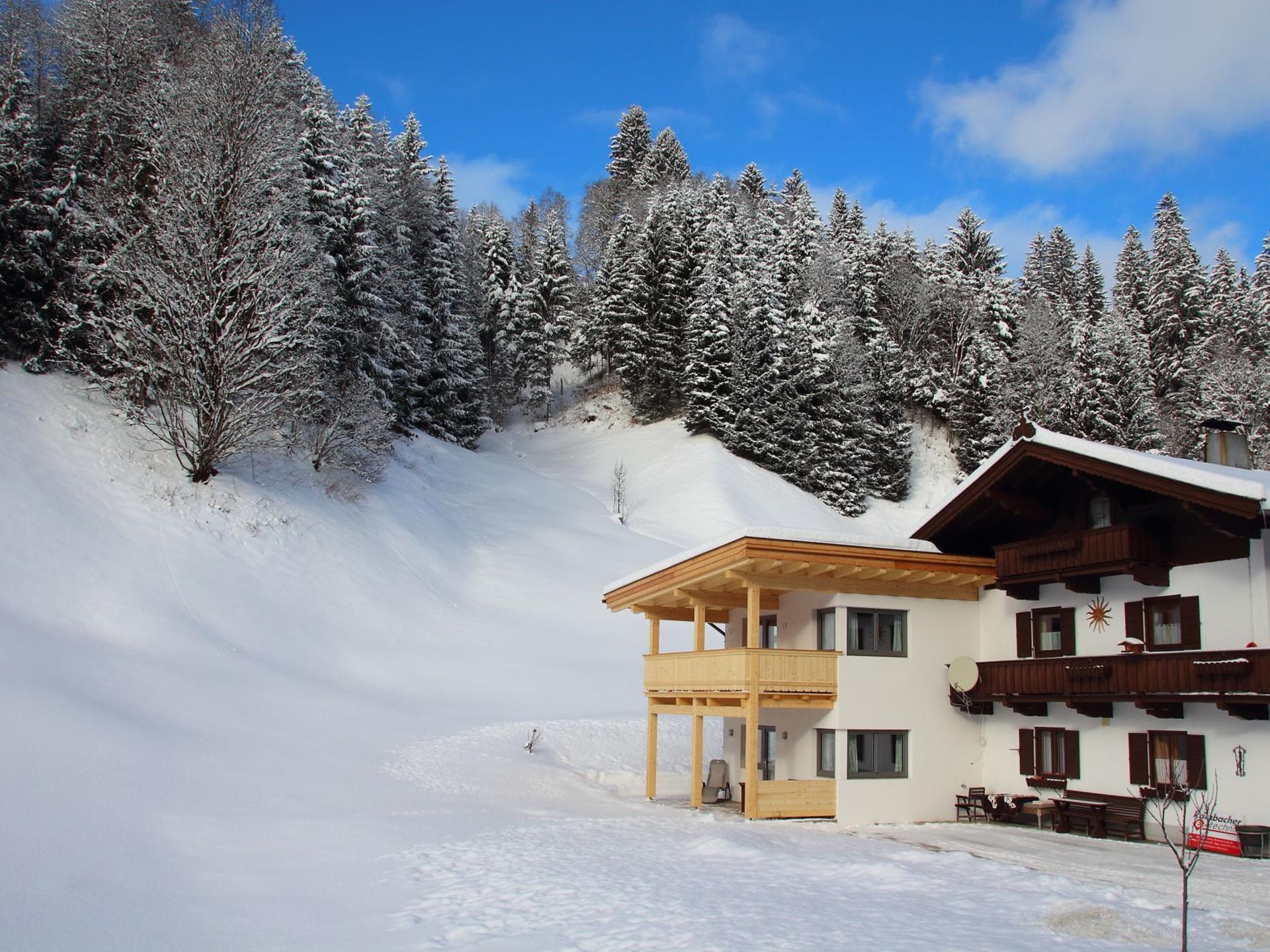 5-persoons modern appartement aan de piste in Kirchberg in Tirol - foto 25