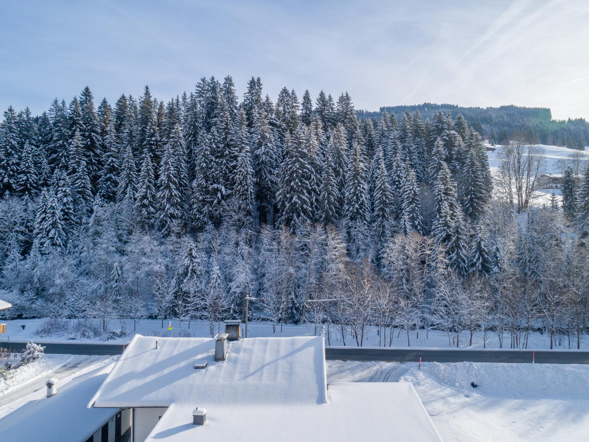 5-persoons modern appartement aan de piste in Kirchberg in Tirol - foto 38