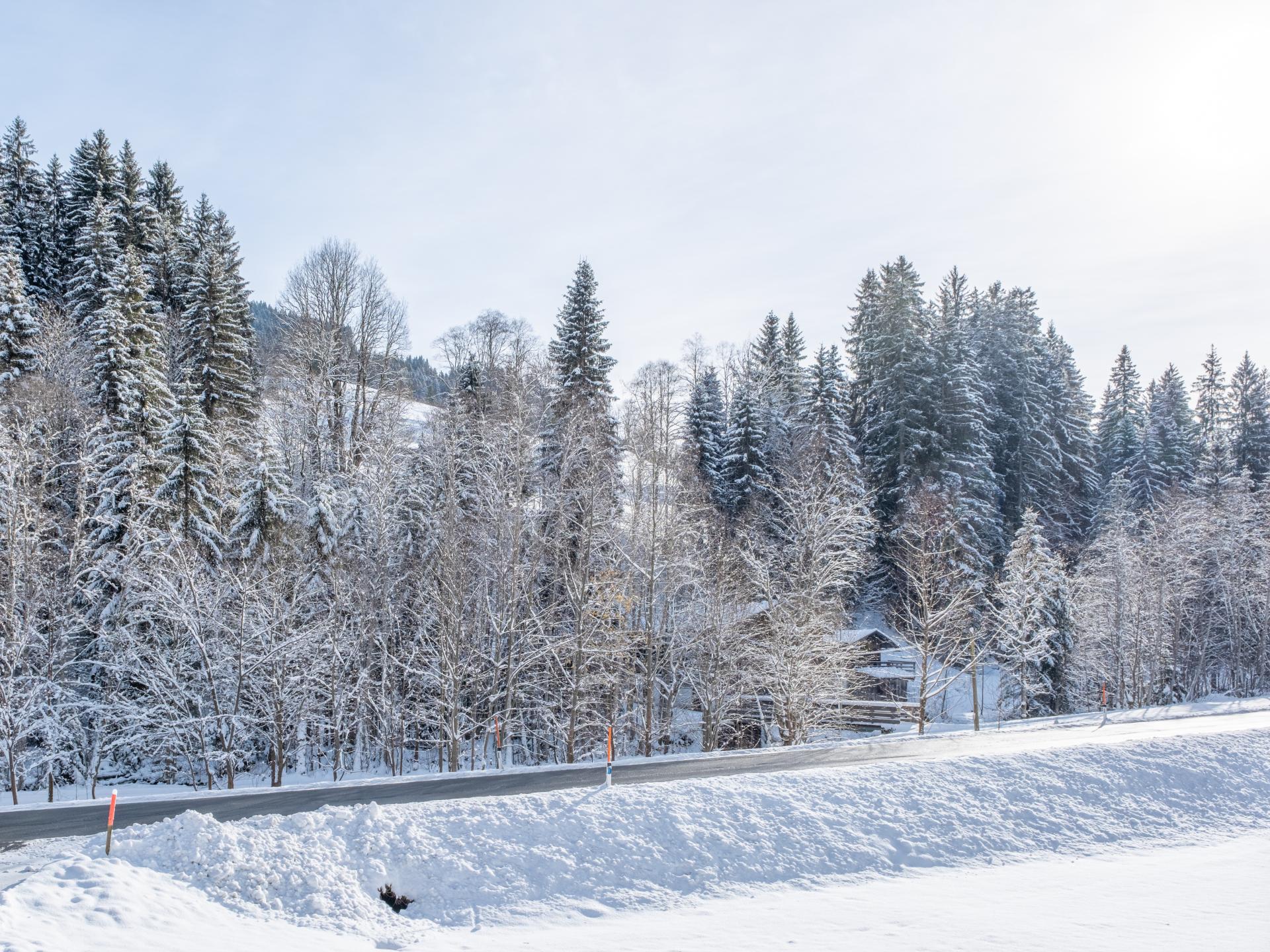 5-persoons modern appartement aan de piste in Kirchberg in Tirol - foto 41
