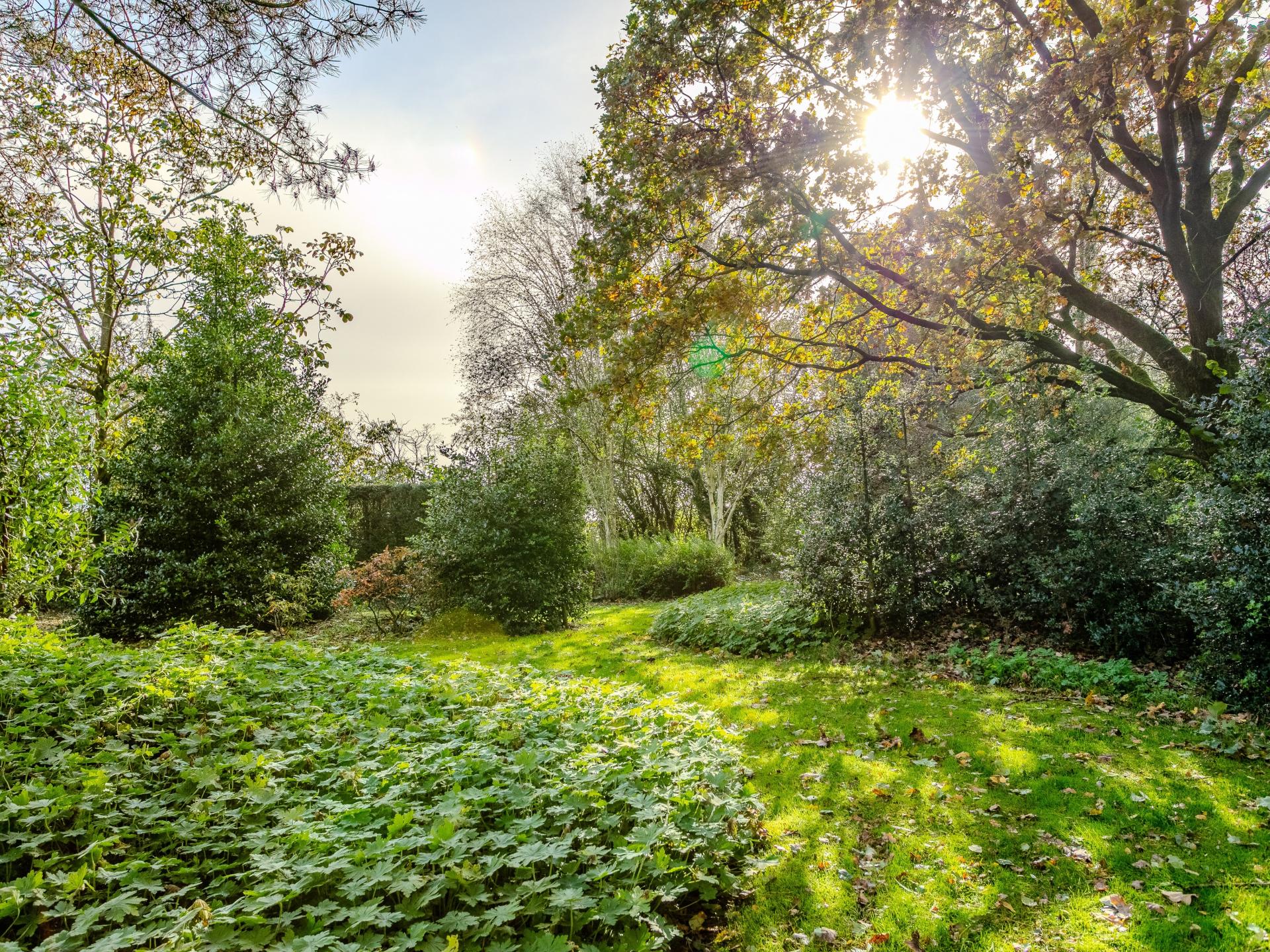 Ruime groepsaccommodatie Alverwege met orangerie en grote tuin in Merksplas - foto 55