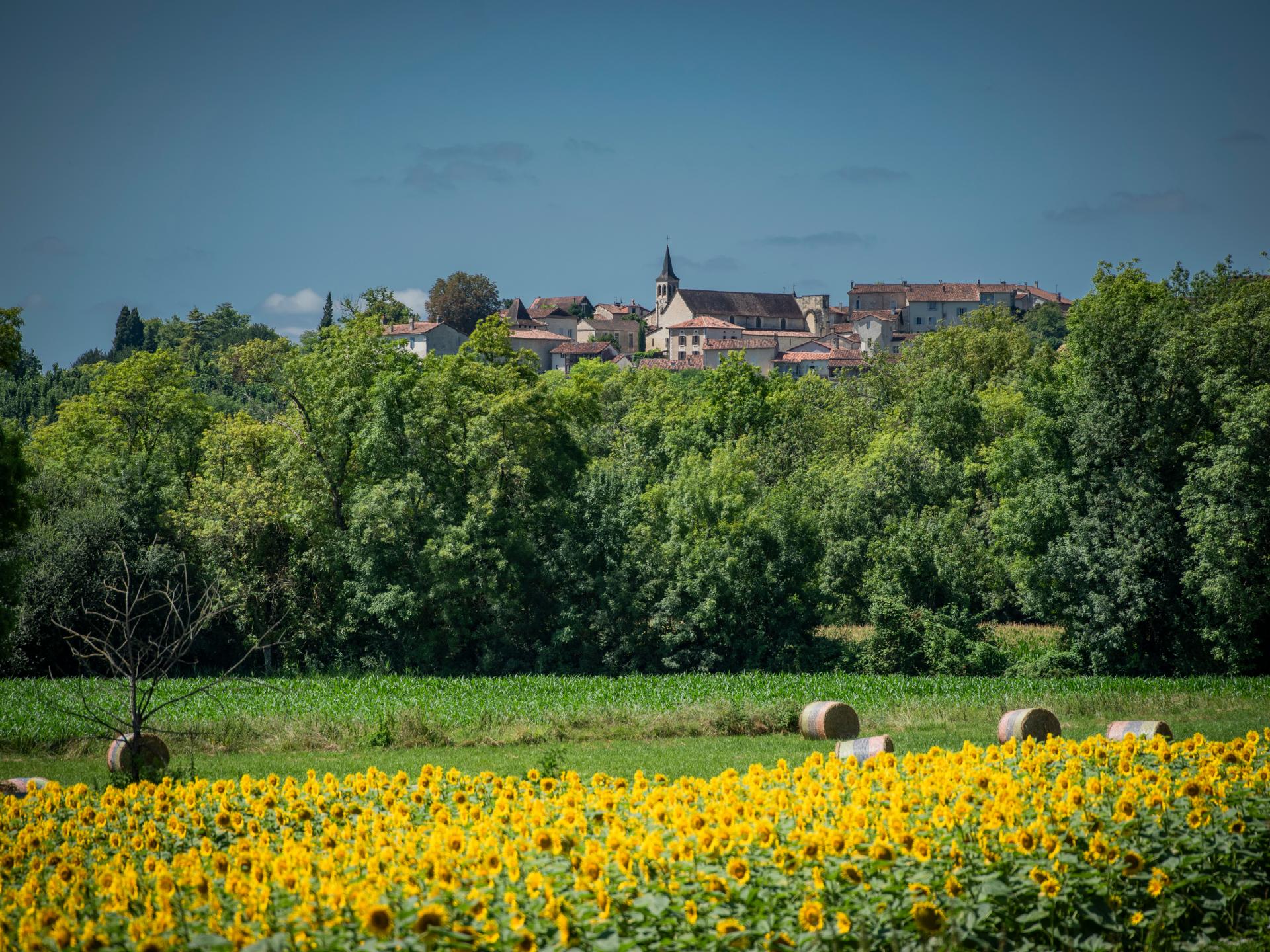 7-persoons modern vakantiehuis met zwembad in Aubeterre sur Dronne - foto 47