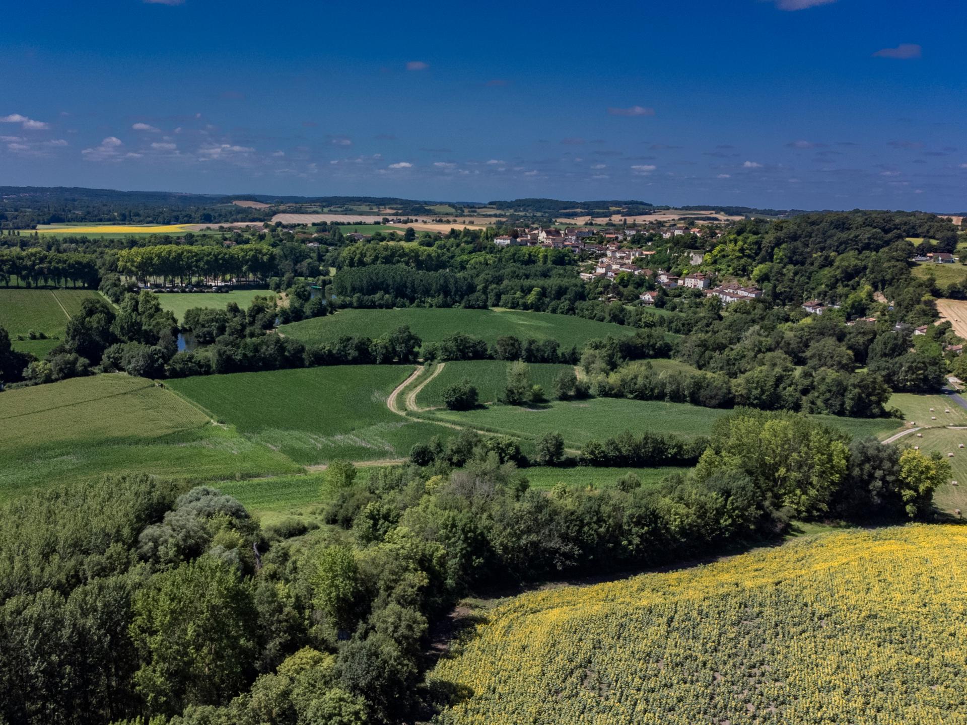 7-persoons modern vakantiehuis met zwembad in Aubeterre sur Dronne - foto 35