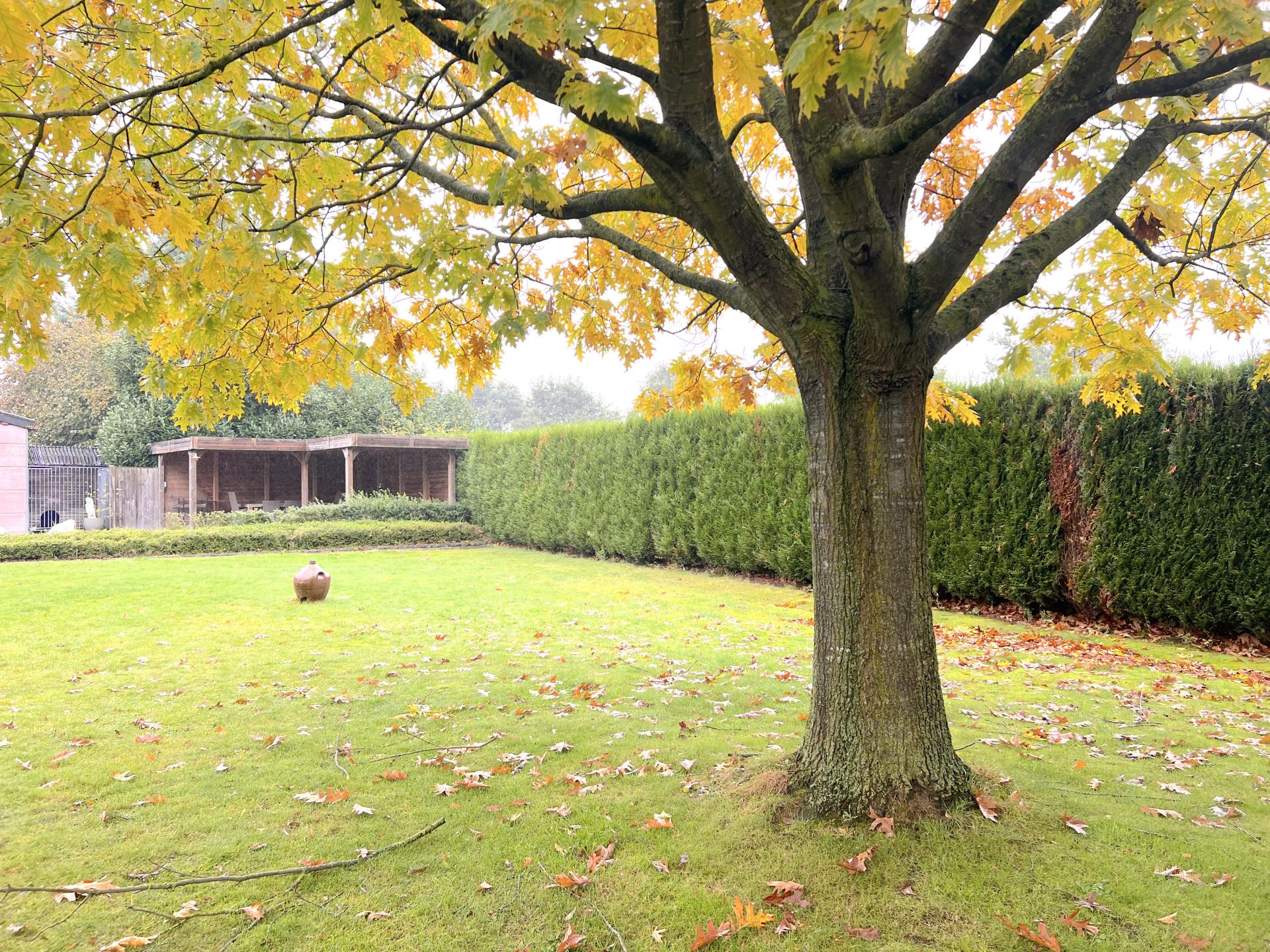Ruim landhuis voor 12 personen in Zingem, Vlaamse Ardennen met grote tuin - foto 34
