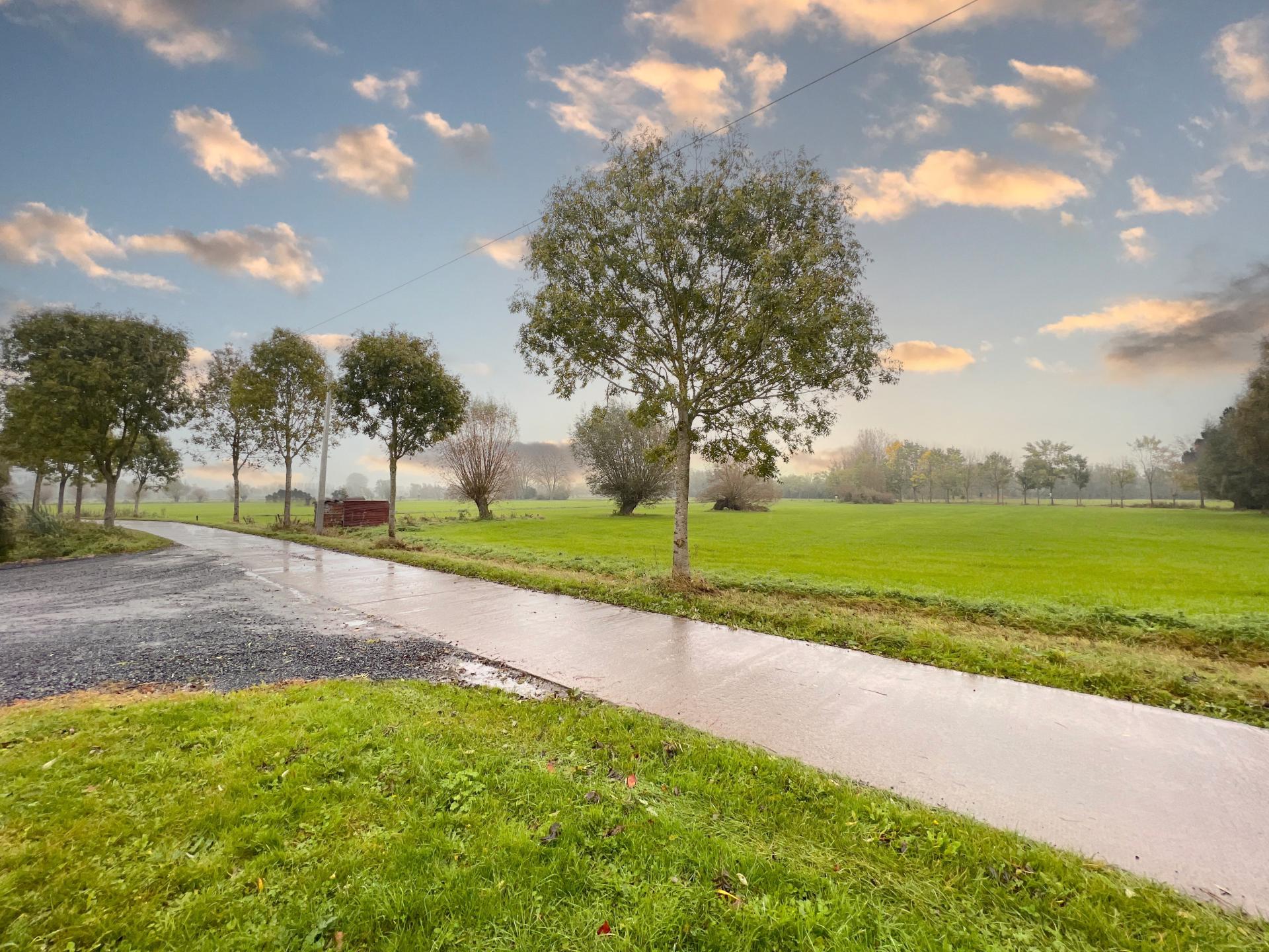 Ruim landhuis voor 12 personen in Zingem, Vlaamse Ardennen met grote tuin - foto 36