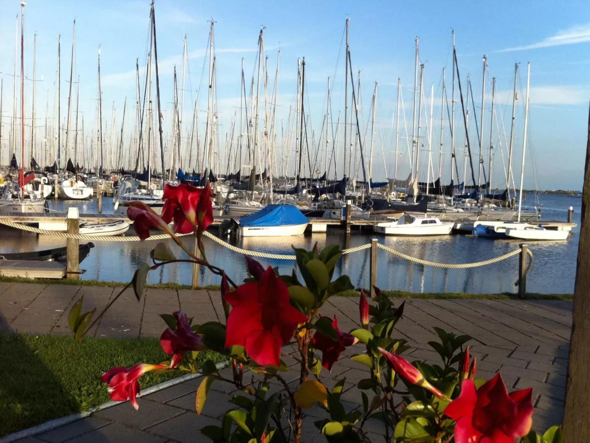 Modern vakantiehuis met hottub aan het Grevelingenmeer in Herkingen - foto 44