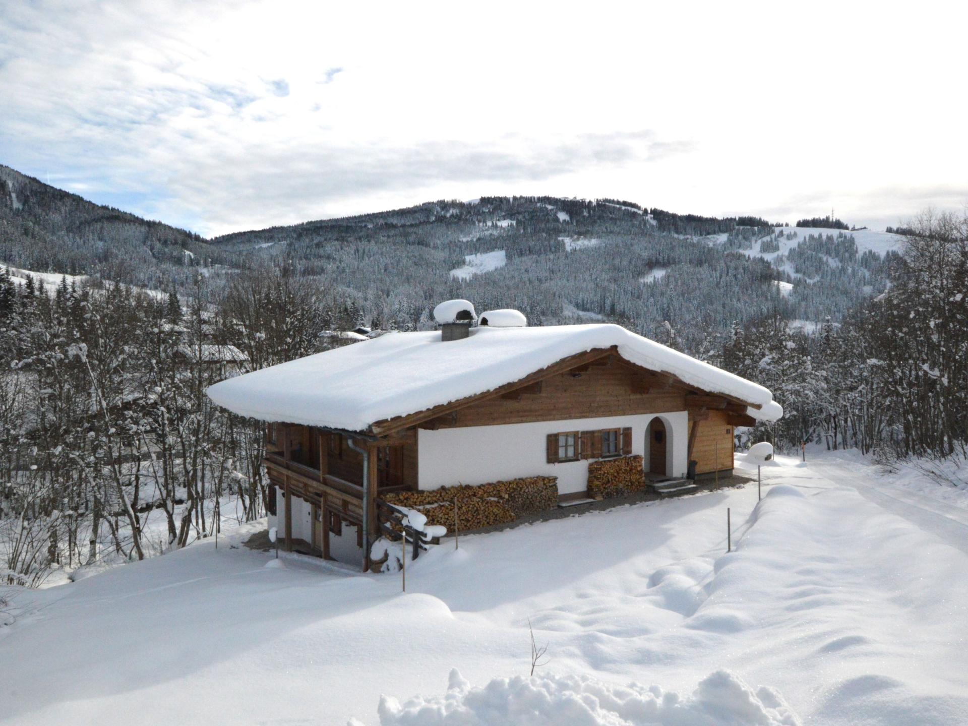 Twee gekoppelde appartementen aan de skipiste in Hinterthal - foto 44