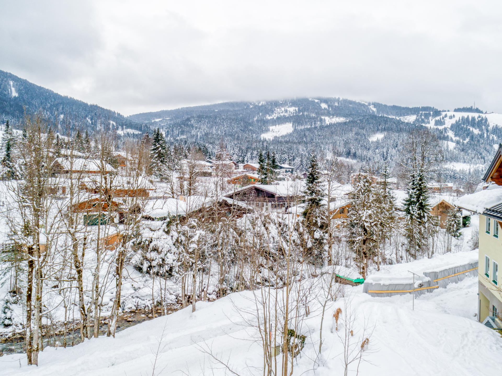 Twee gekoppelde appartementen aan de skipiste in Hinterthal - foto 48