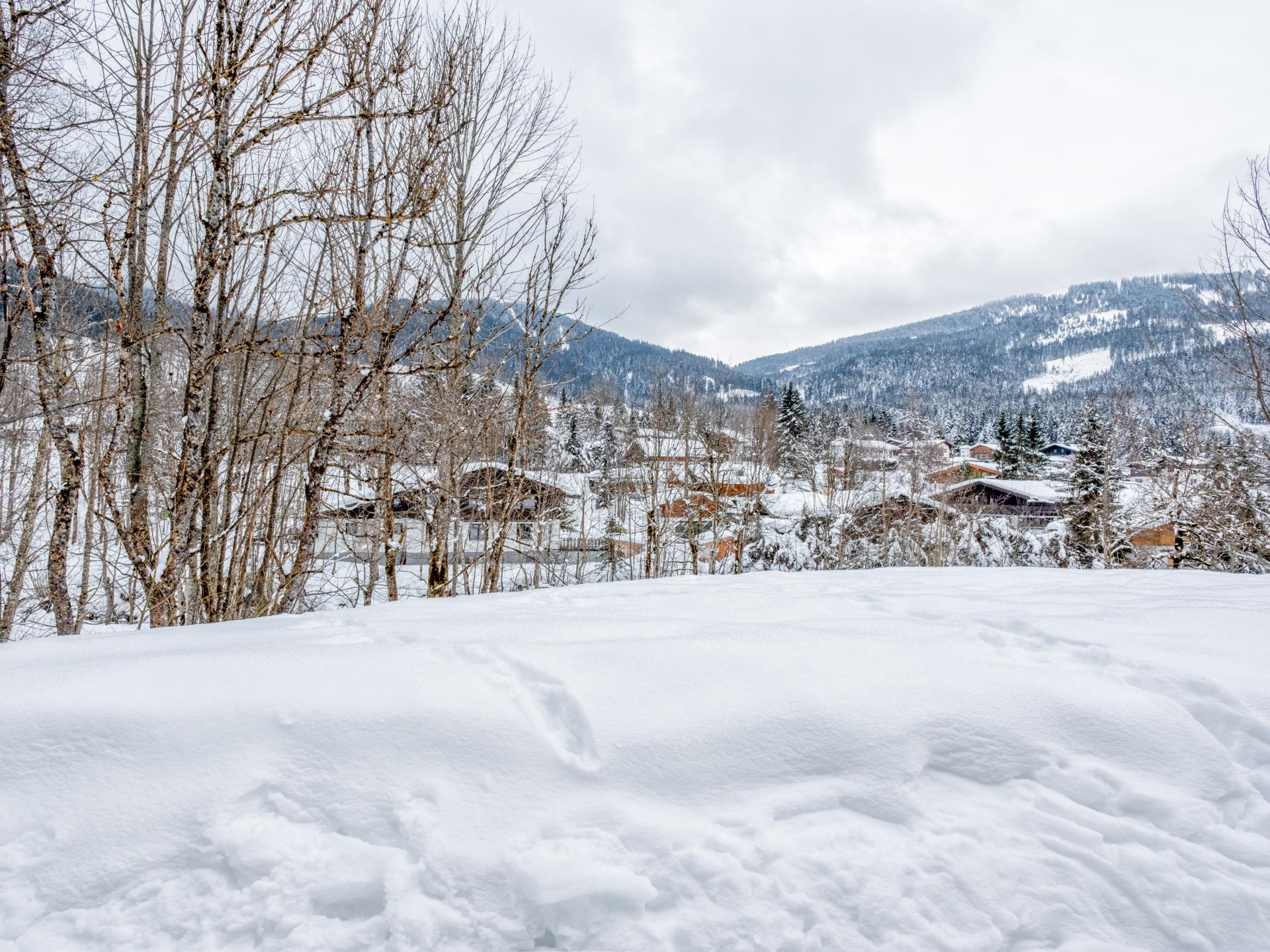 Twee gekoppelde appartementen aan de skipiste in Hinterthal - foto 39