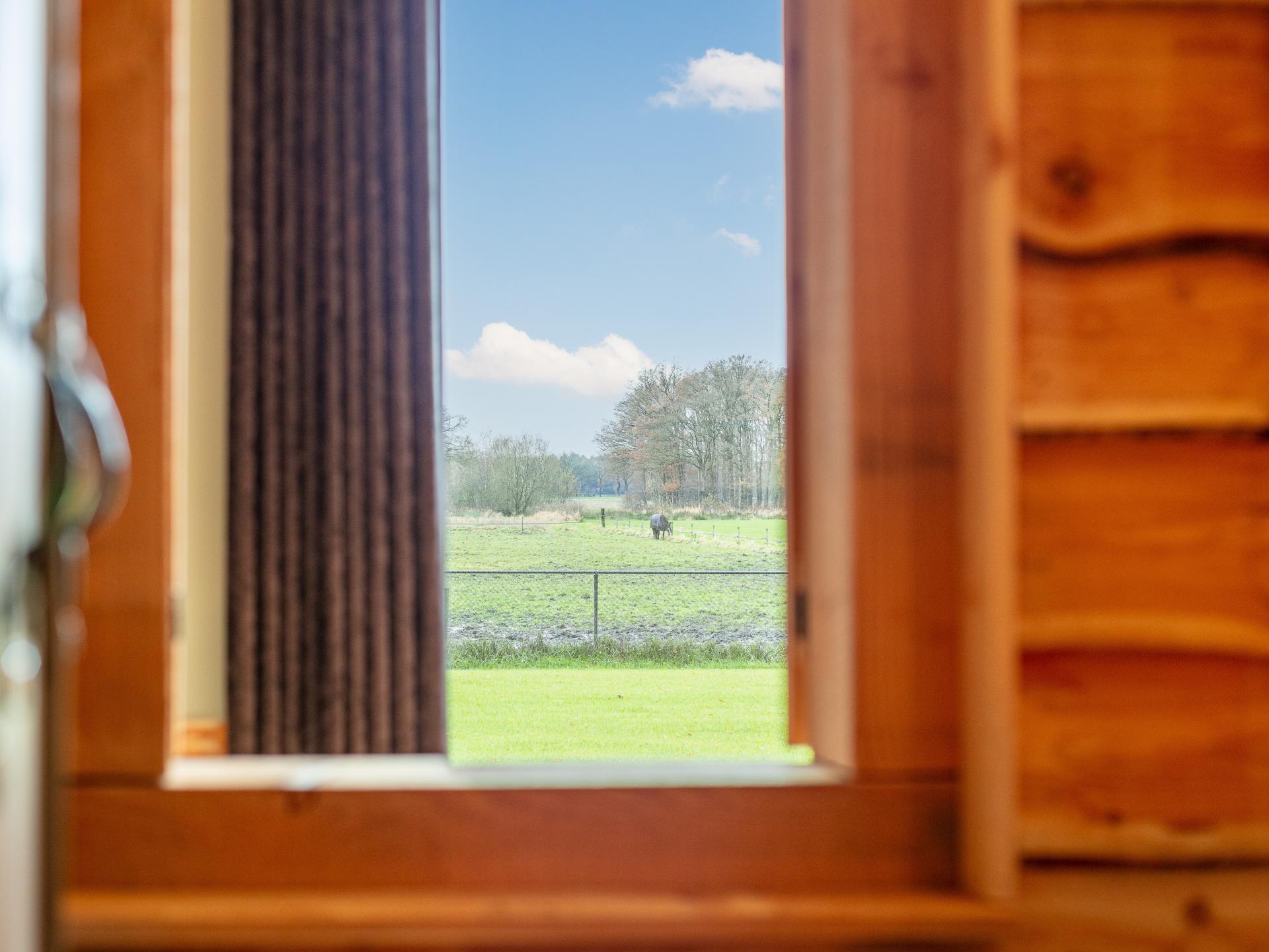 Luxe familiehoeve met paardenstal in Brabants landschap, 12 pers - foto 36