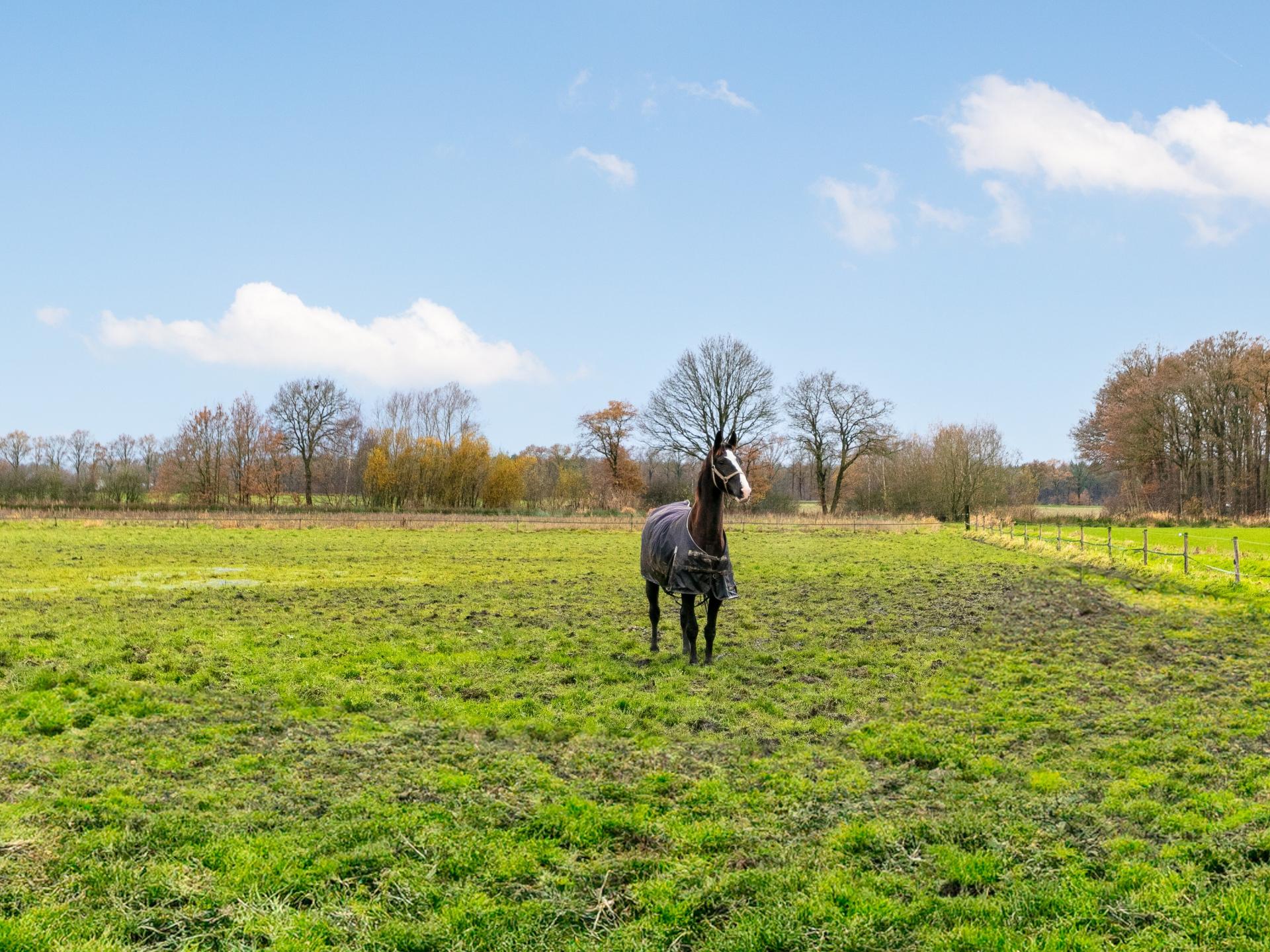 Luxe familiehoeve met paardenstal in Brabants landschap, 12 pers - foto 50