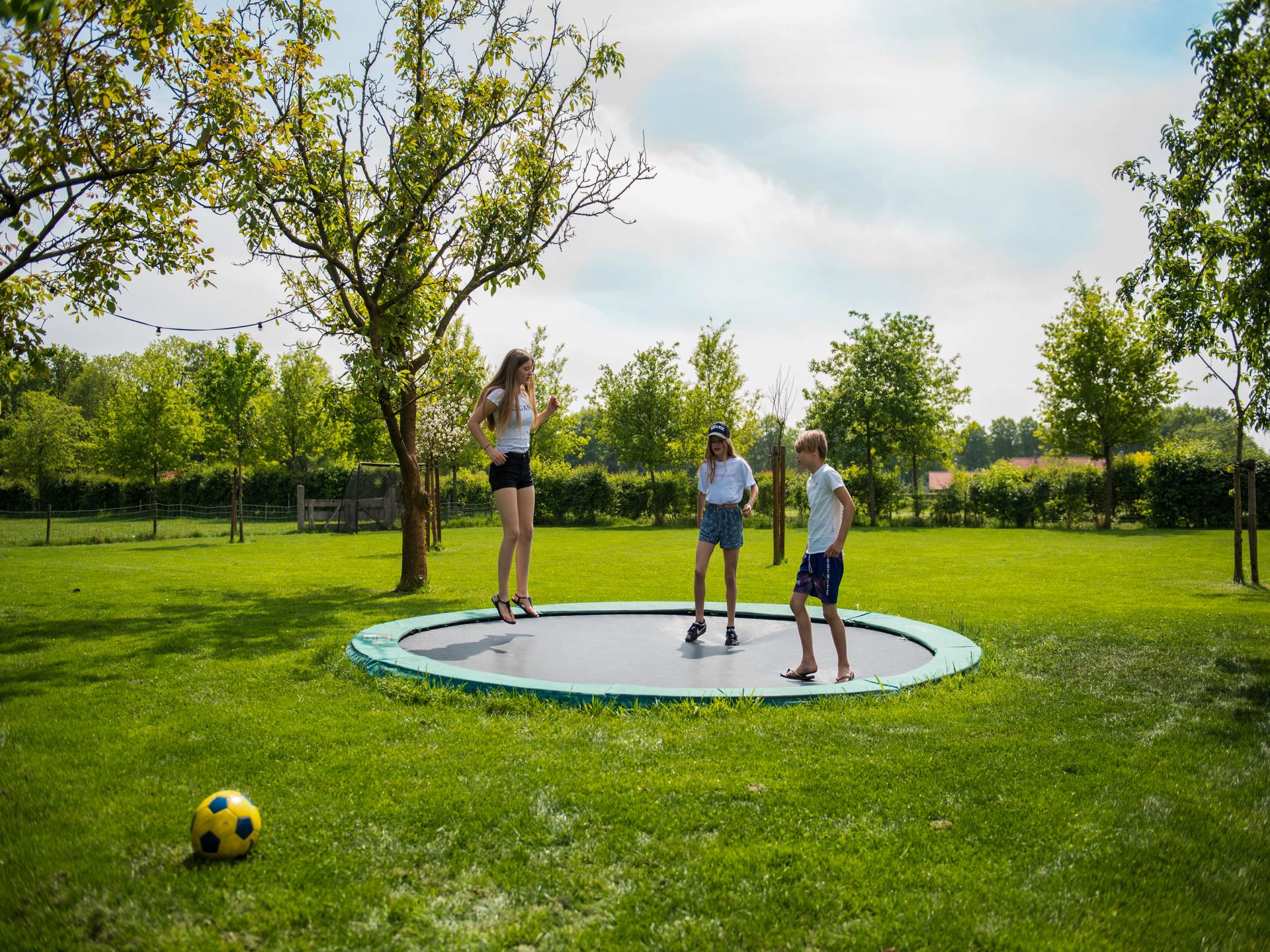 Idyllisch huisje met hottub en haard in Brabantse Kempen - foto 27