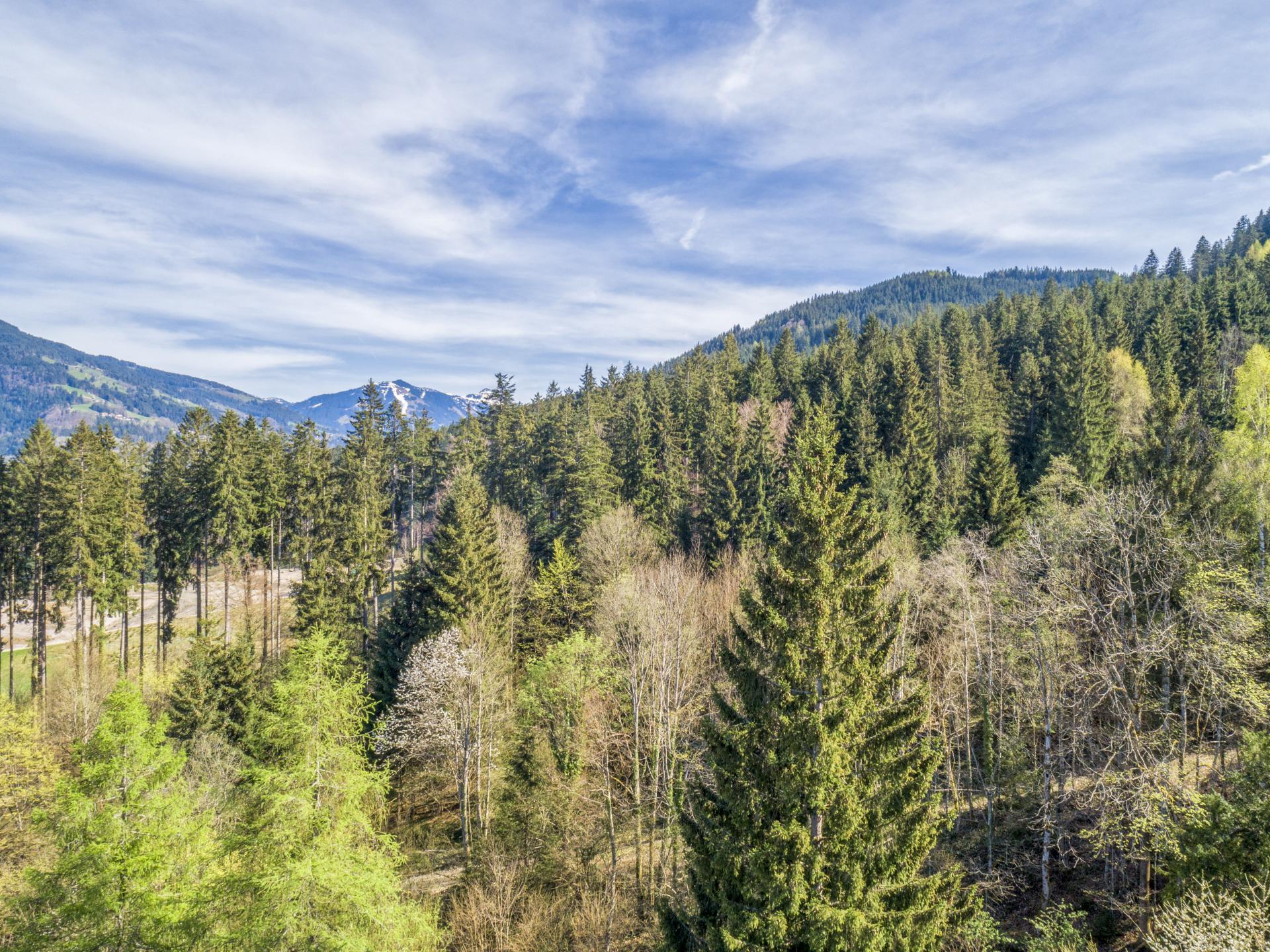 Aan de piste: Vrijstaand houten chalet in Wörgl met panorama - foto 20