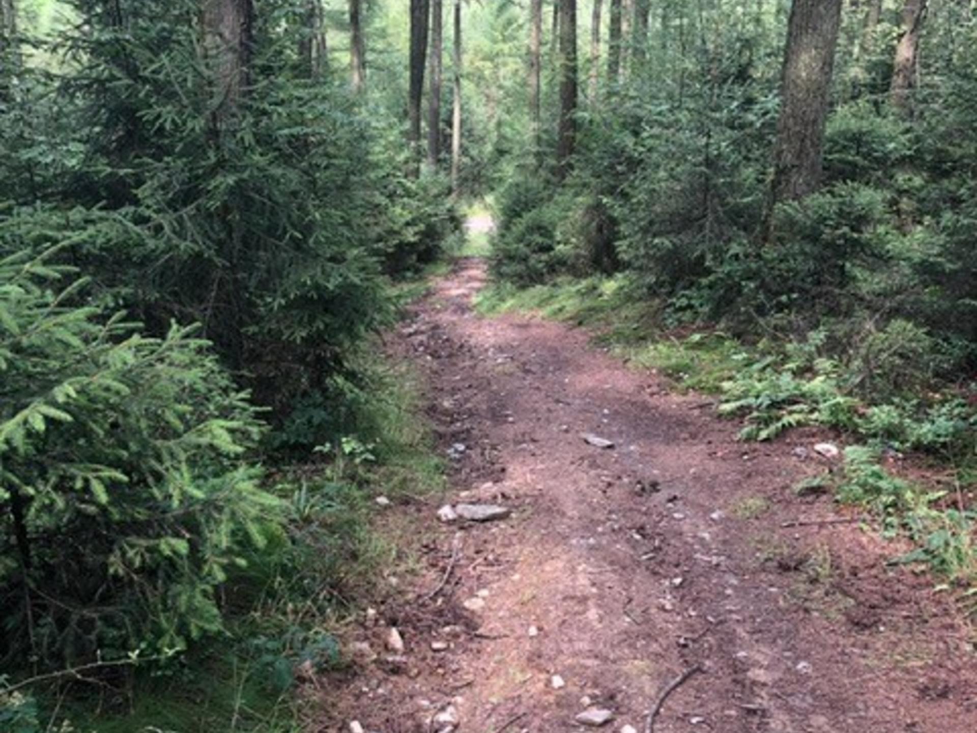 Vrijstaand vakantiehuis op de Veluwe met grote privétuin in Putten - foto 29