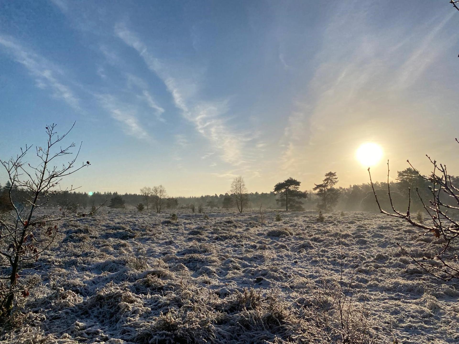 Vrijstaand vakantiehuis op de Veluwe met grote privétuin in Putten - foto 35