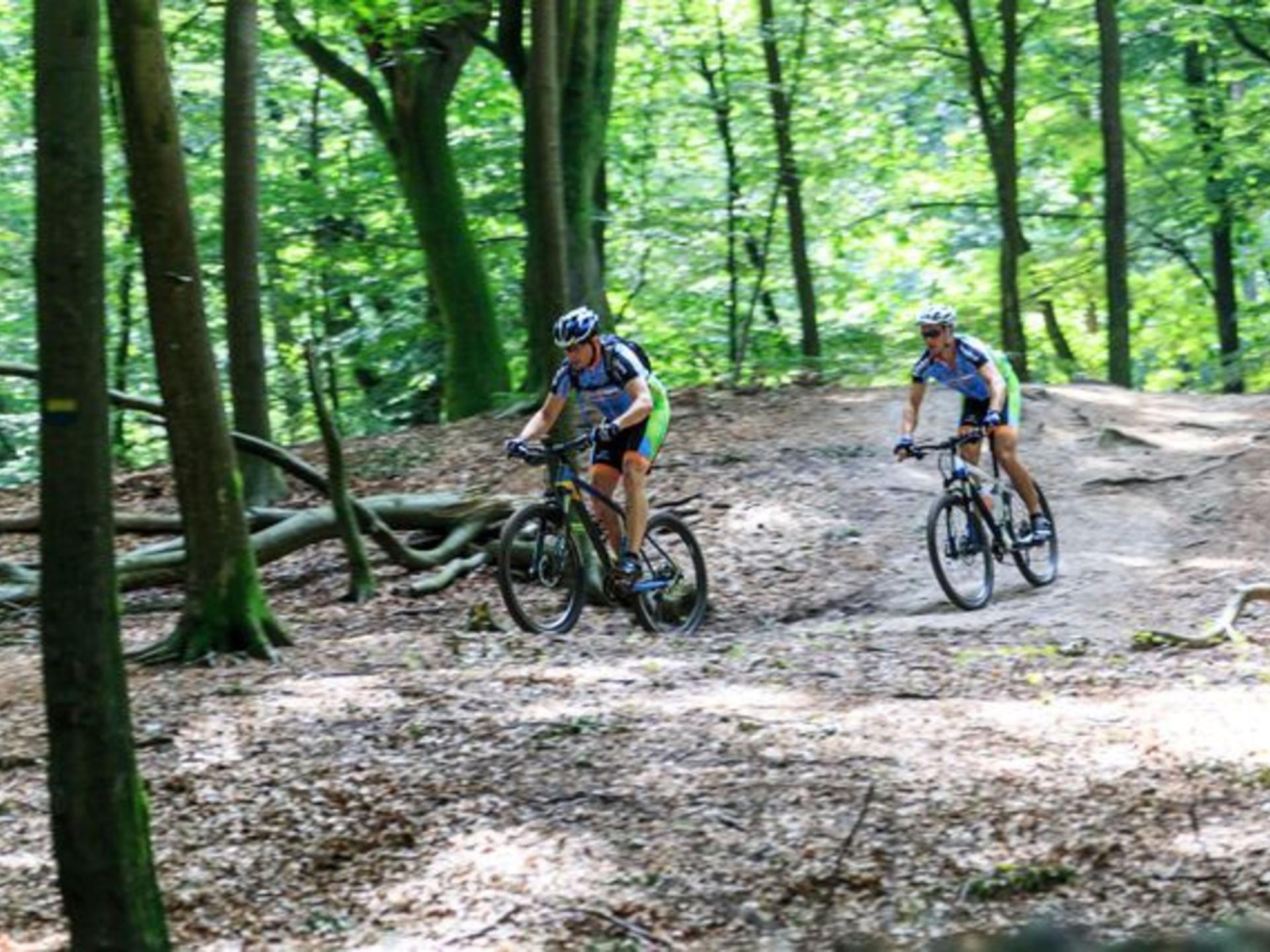 Wellness vakantiehuis met softtub op de Veluwe, honden welkom - foto 34