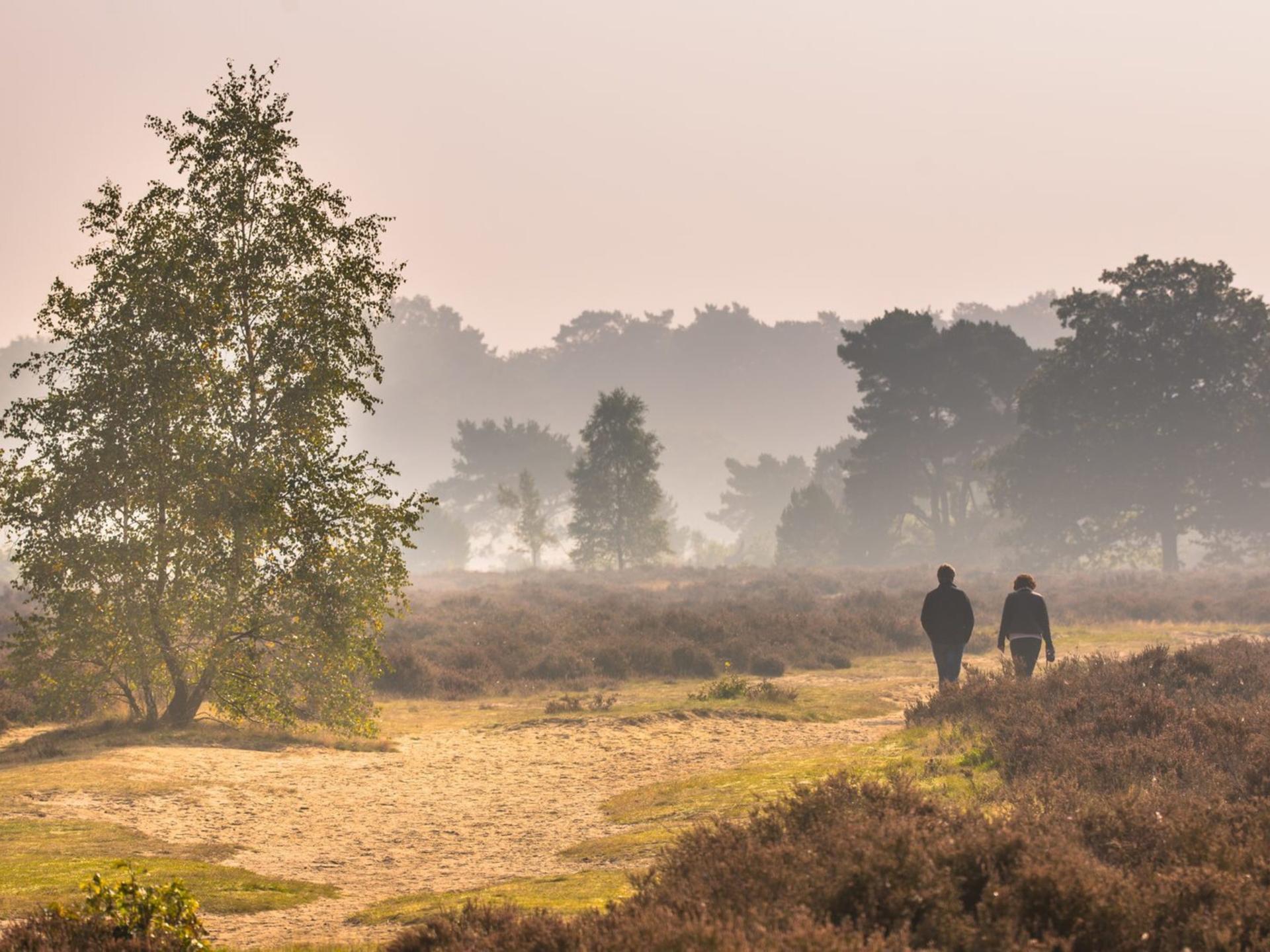 Wellness vakantiehuis met softtub op de Veluwe, honden welkom - foto 39