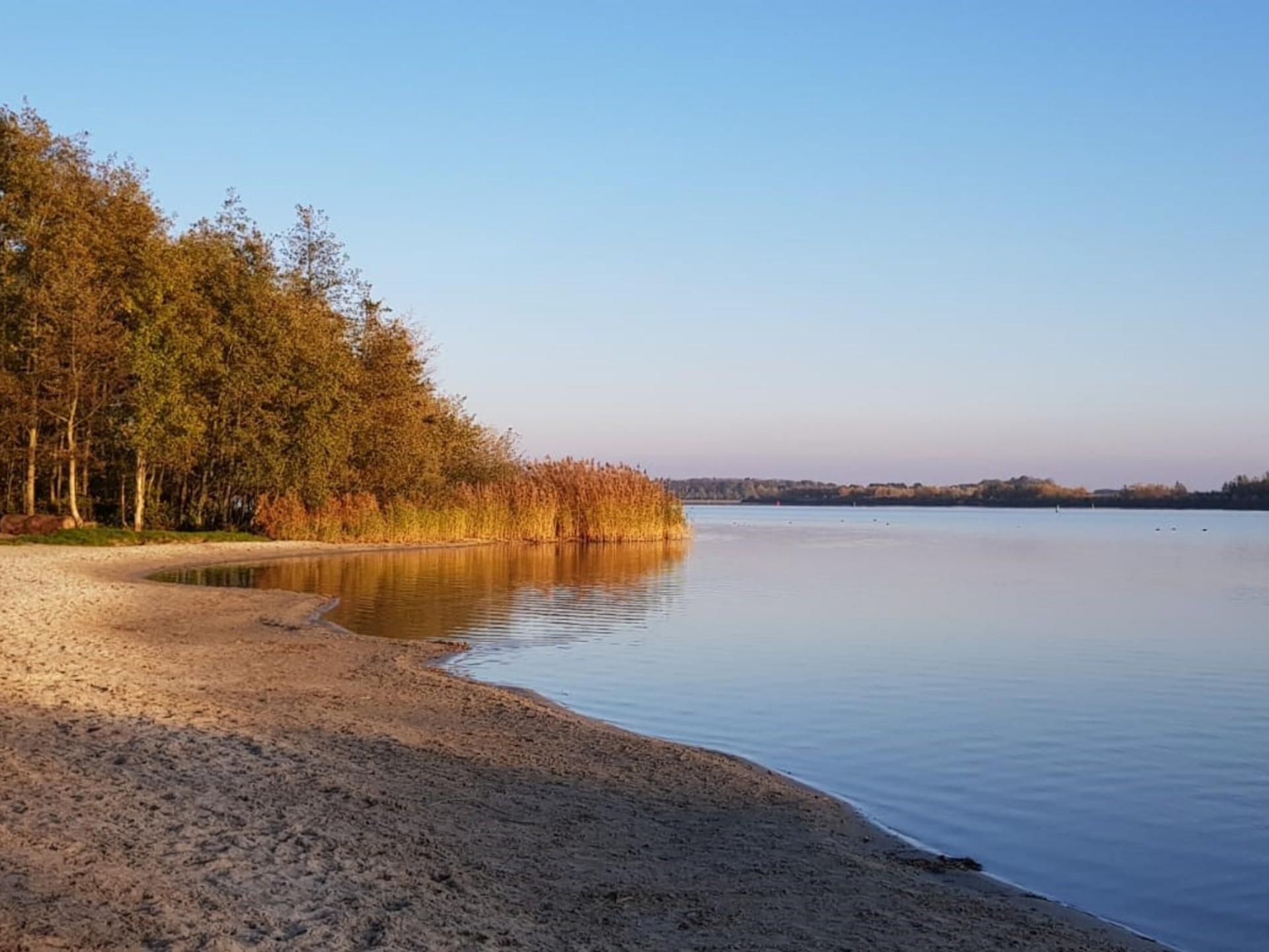 Wellness vakantiehuis met softtub op de Veluwe, honden welkom - foto 38