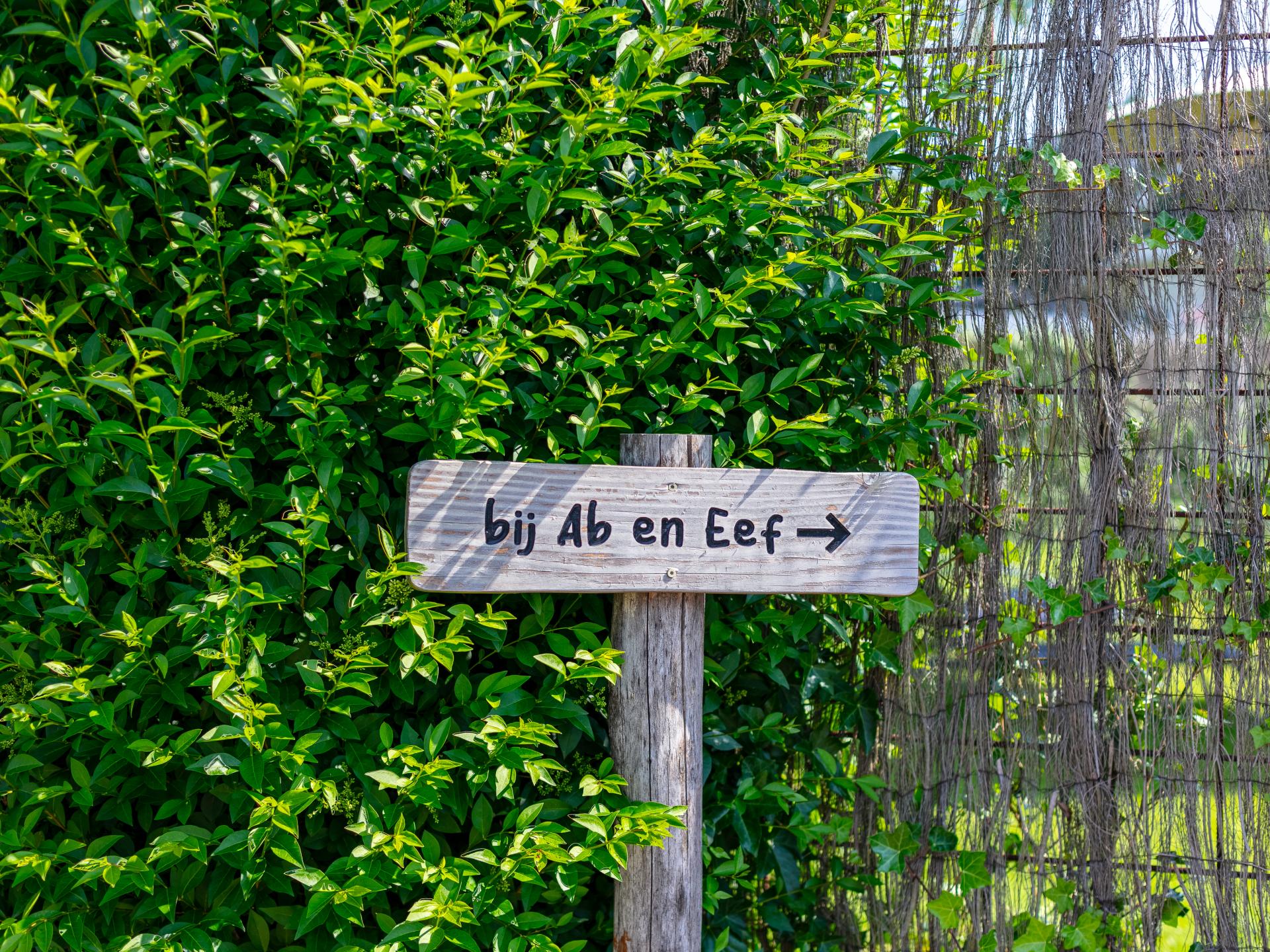 Wellness vakantiehuis met softtub op de Veluwe, honden welkom - foto 50