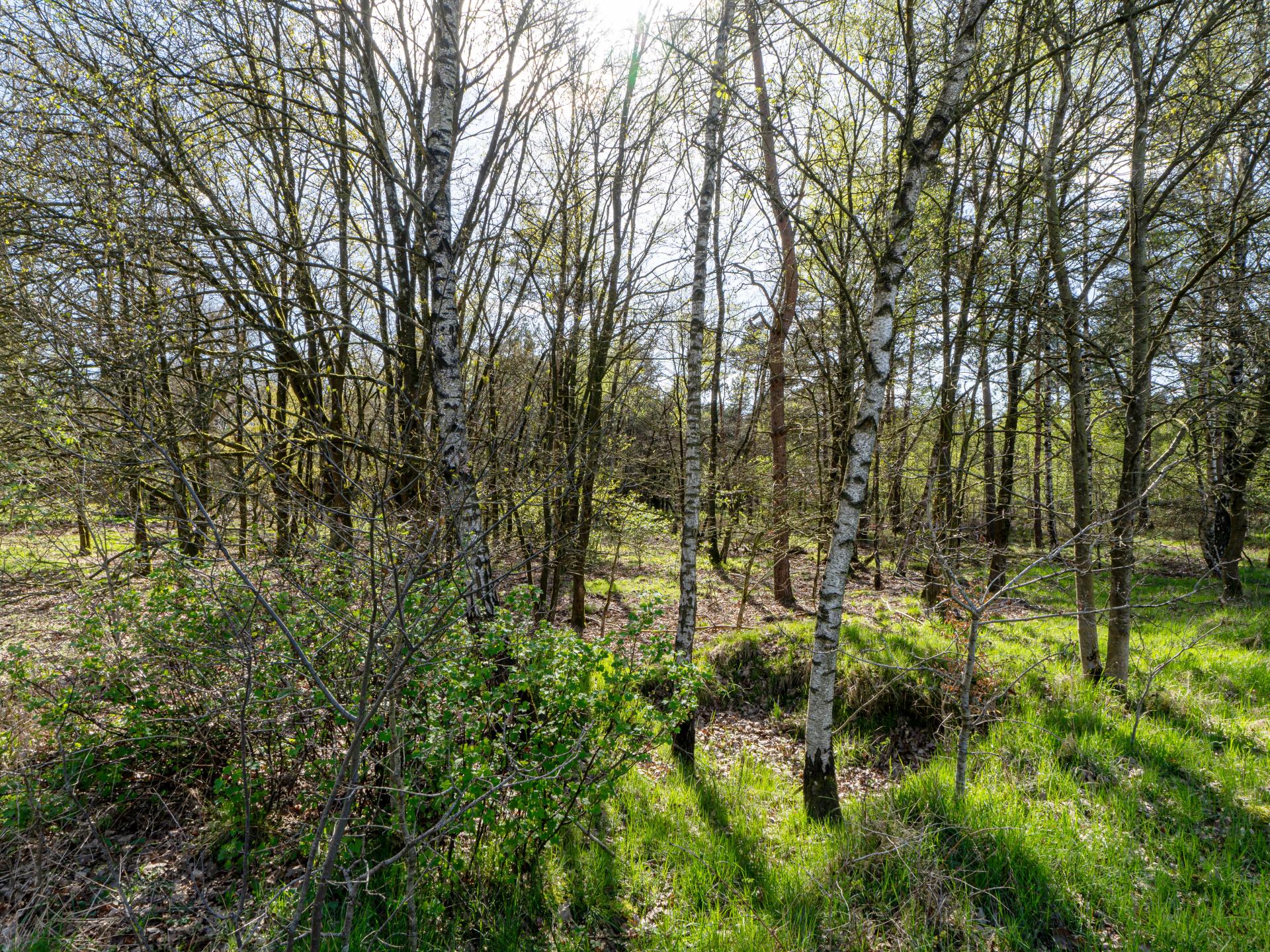 Sfeervol Tiny House midden in het bos op de Veluwe, 50m van centrum Nunspeet - foto 47