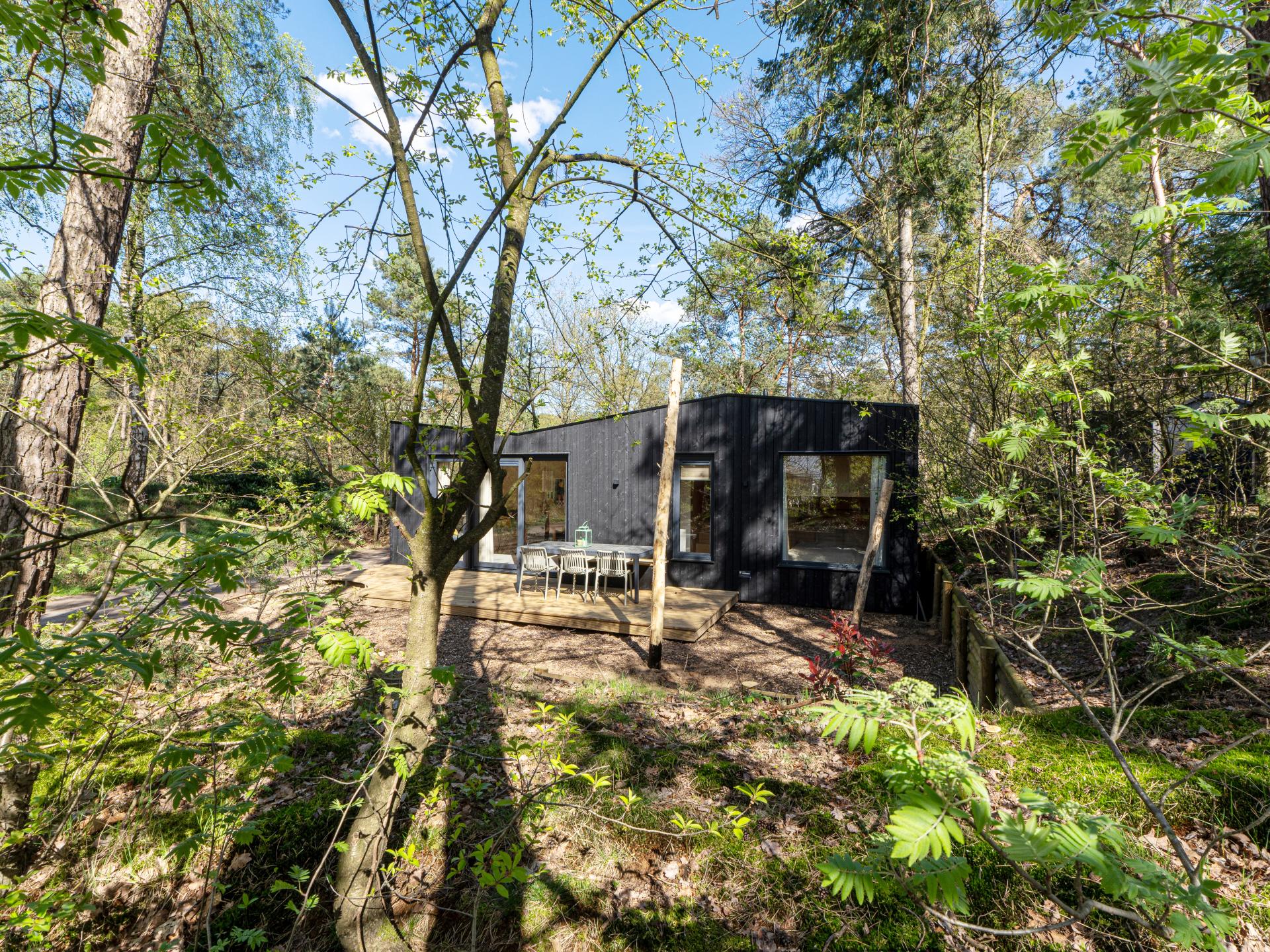 Sfeervol Tiny House midden in het bos op de Veluwe, 50m van centrum Nunspeet - foto 39