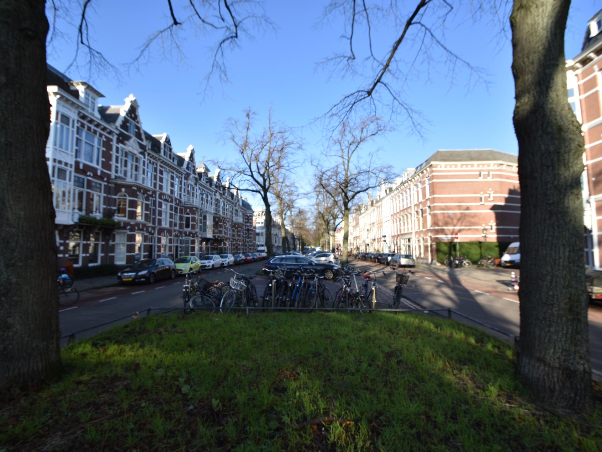 Authentieke stadswoning in hartje Den Haag, 100m van centrum - foto 33