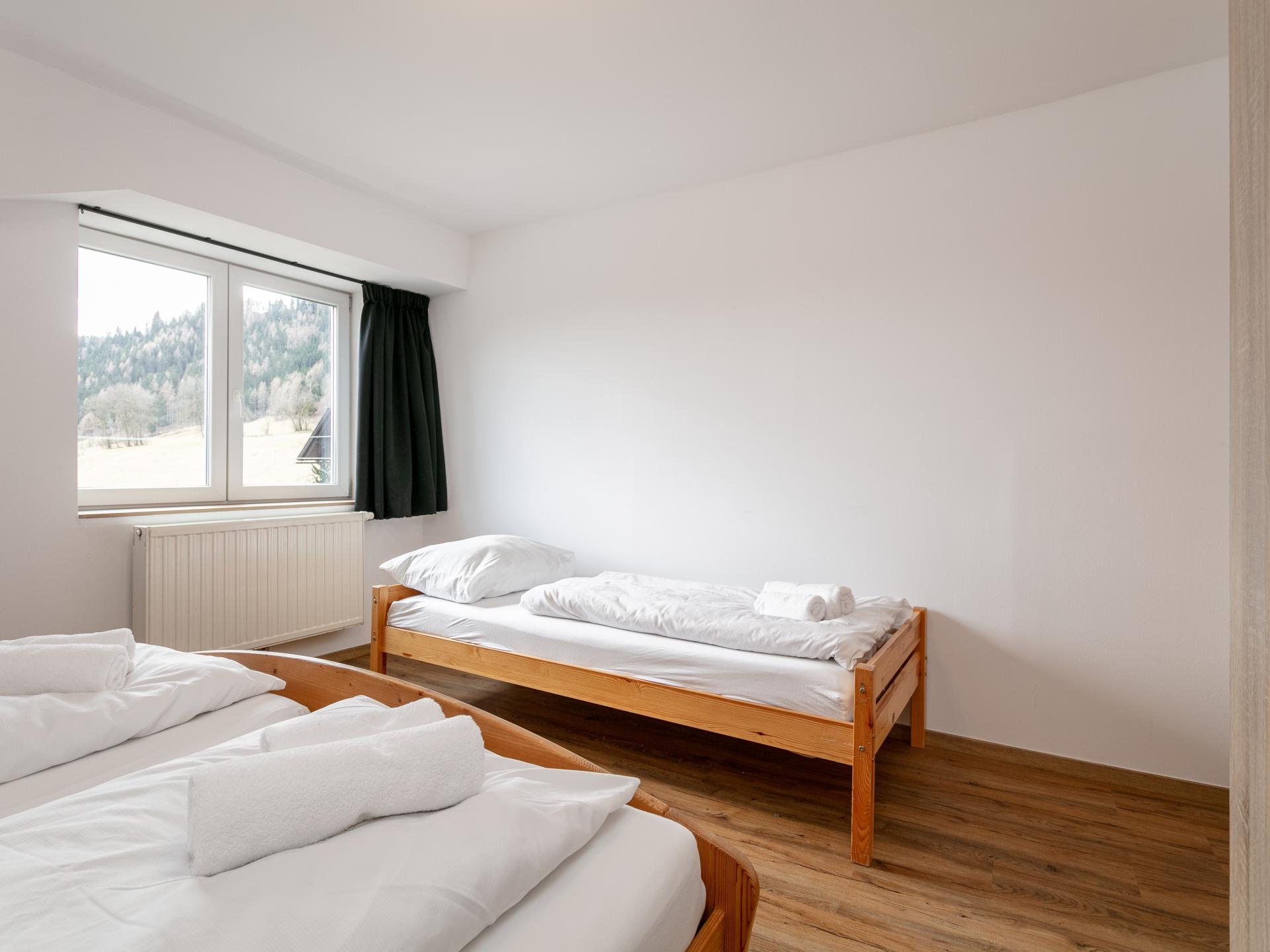 Drie luxe appartementen voor 23 personen in Möderbrugg, tussen Lachtal en Hohentauern - foto 60
