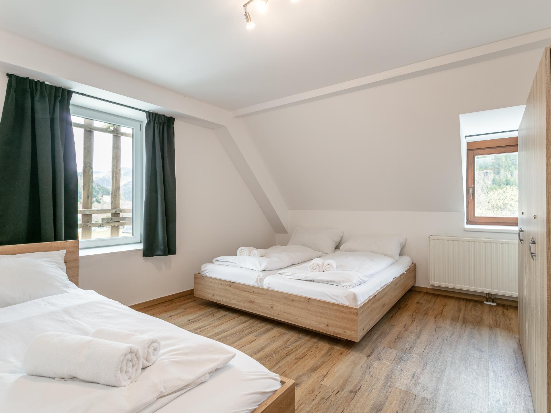 Drie luxe appartementen voor 23 personen in Möderbrugg, tussen Lachtal en Hohentauern - foto 46