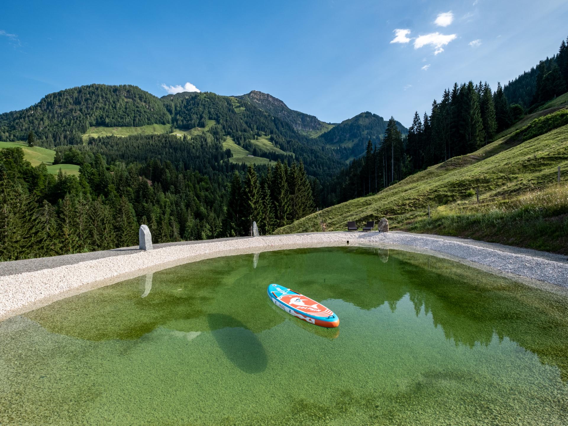 Luxe chalet in Sankt Johann met privé sauna en natuurlijke zwemvijver - foto 31