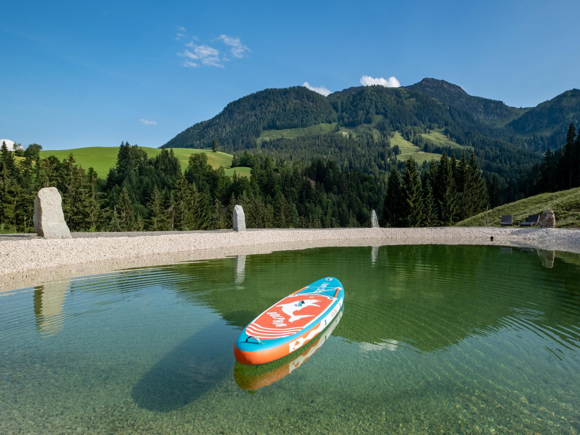 Luxe chalet in Sankt Johann met privé sauna en natuurlijke zwemvijver - foto 38