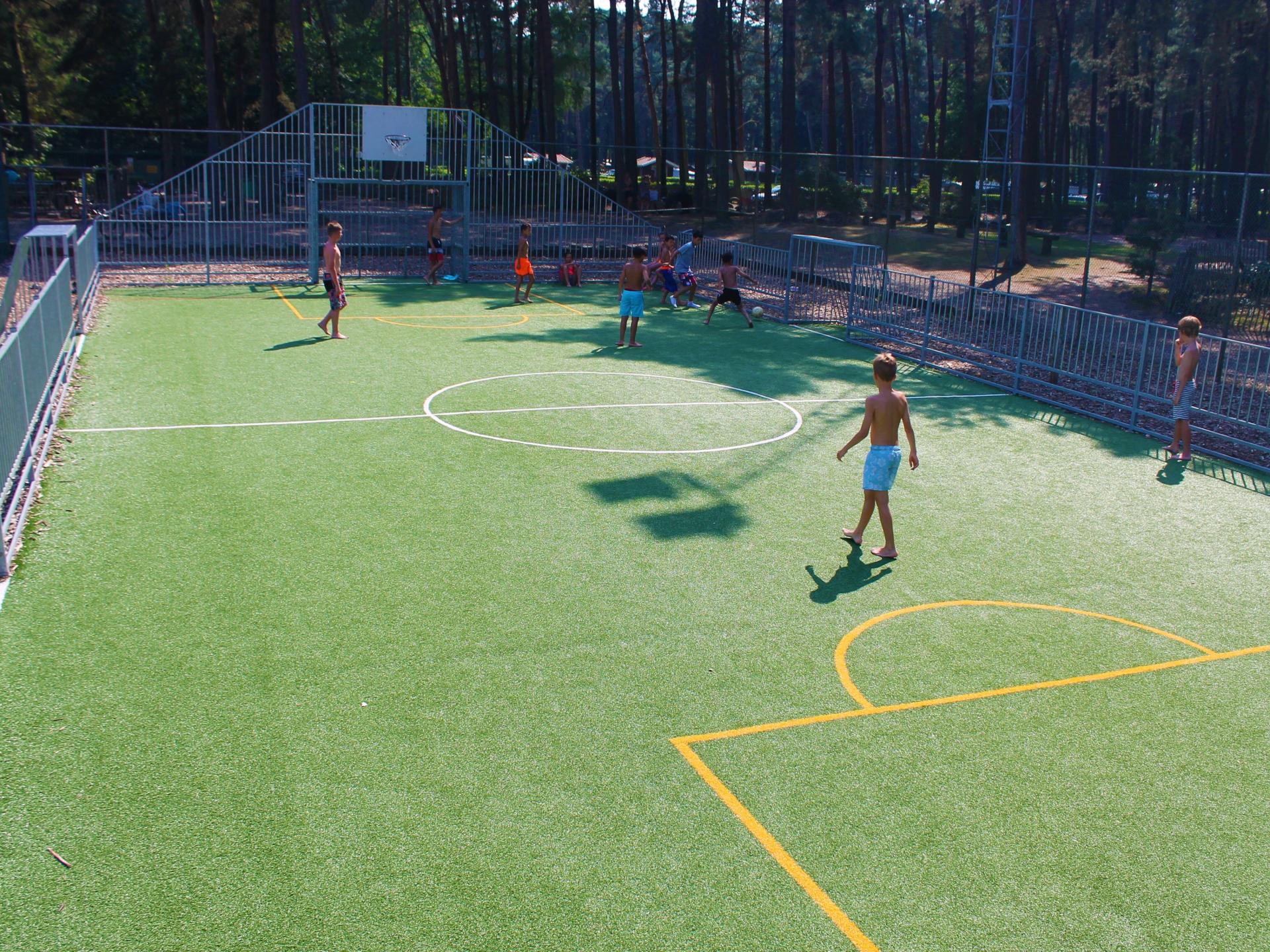 4-persoons vrijstaand chalet in het centrum van Bocholt - foto 66