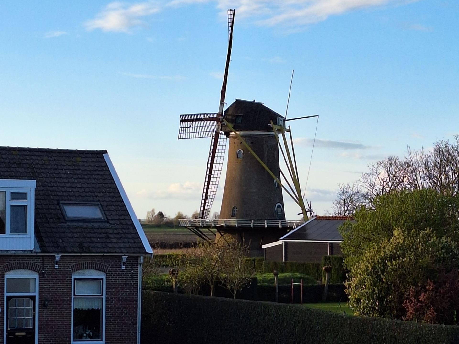 Sfeervol vakantiehuis bij Grevelingenmeer, hond welkom - foto 28