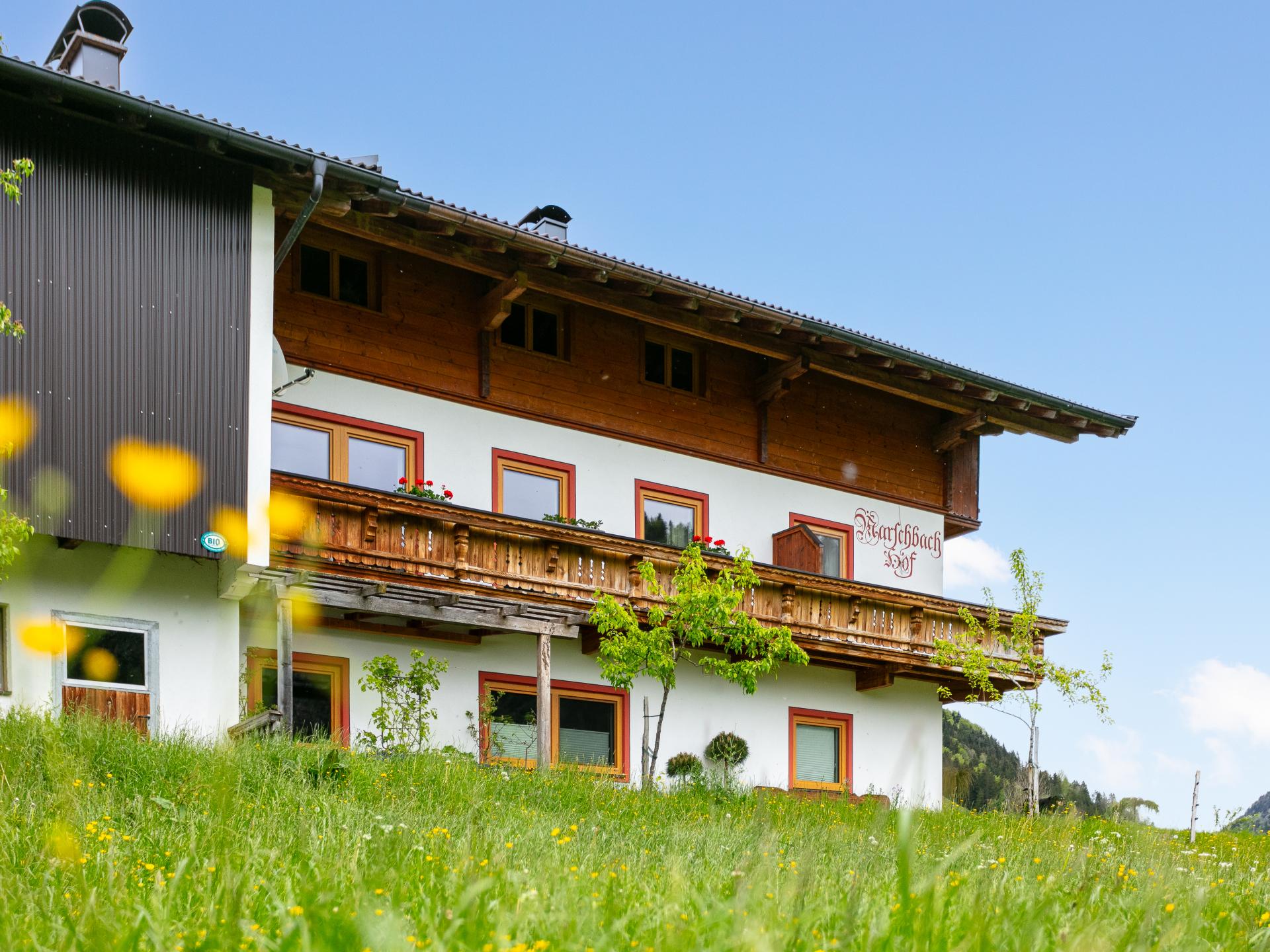 Ruim appartement op idyllische boerderij in Walchsee, vlakbij meer en skilift - foto 14