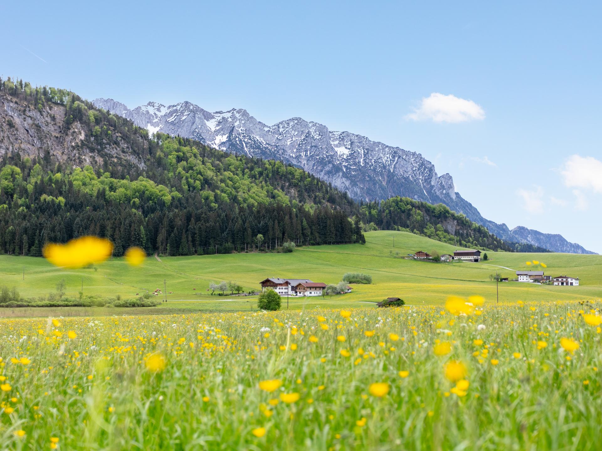 Ruim appartement op idyllische boerderij in Walchsee, vlakbij meer en skilift - foto 30
