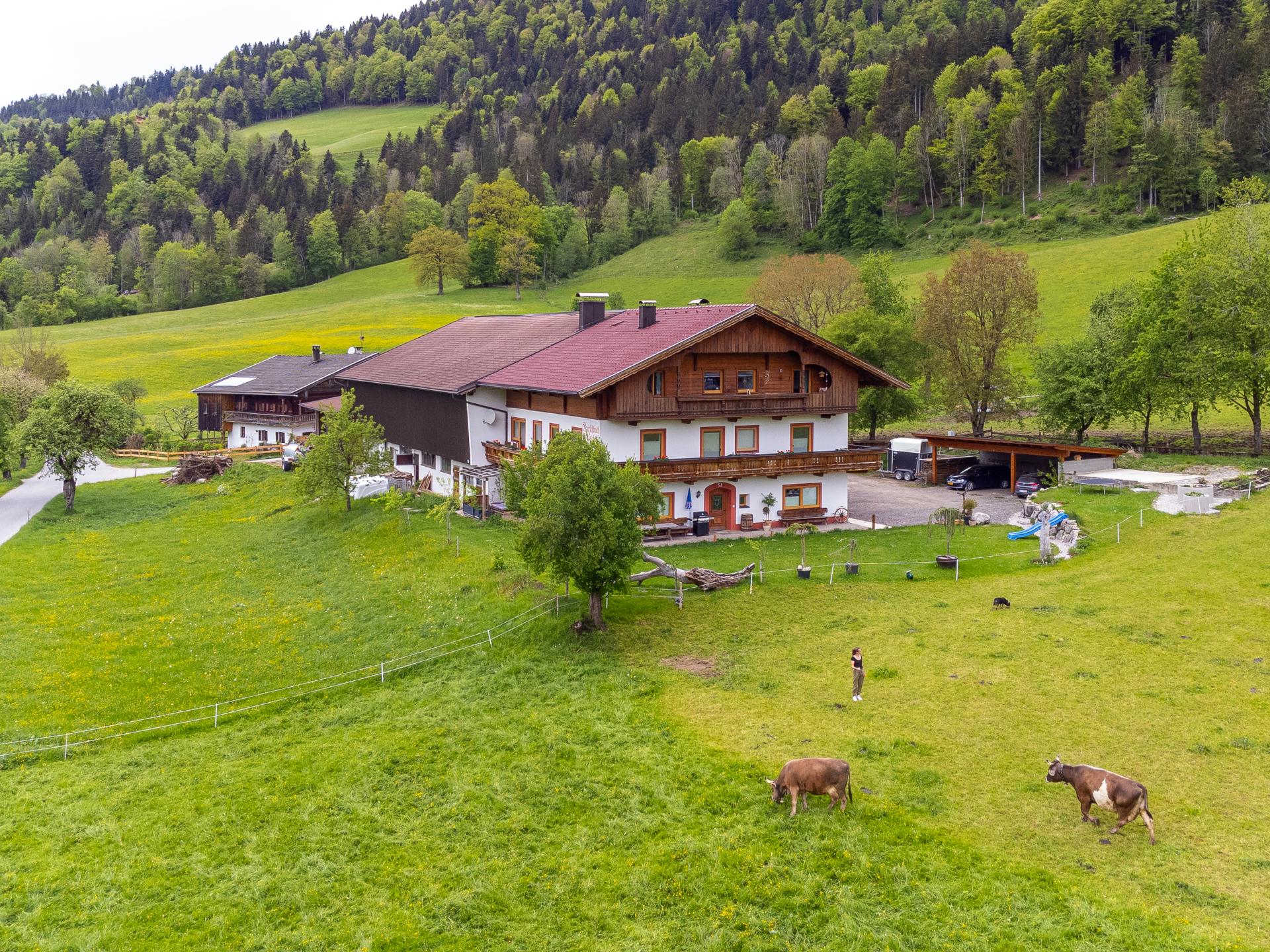 Ruim appartement op idyllische boerderij in Walchsee, vlakbij meer en skilift - foto 35