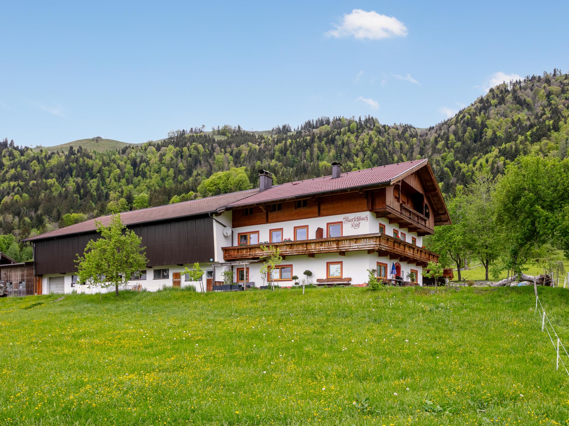 Ruim appartement op idyllische boerderij in Walchsee, vlakbij meer en skilift - foto 32
