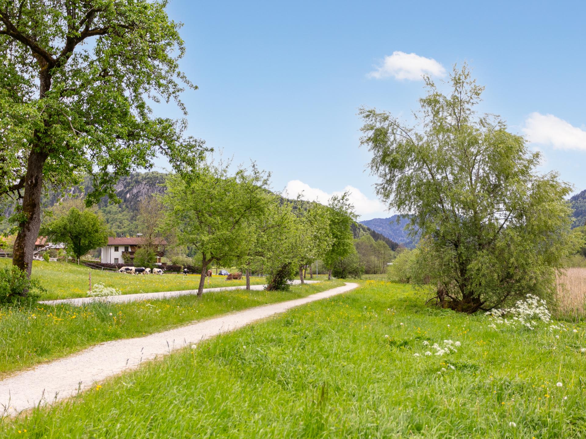 Ruim appartement op idyllische boerderij in Walchsee, vlakbij meer en skilift - foto 36